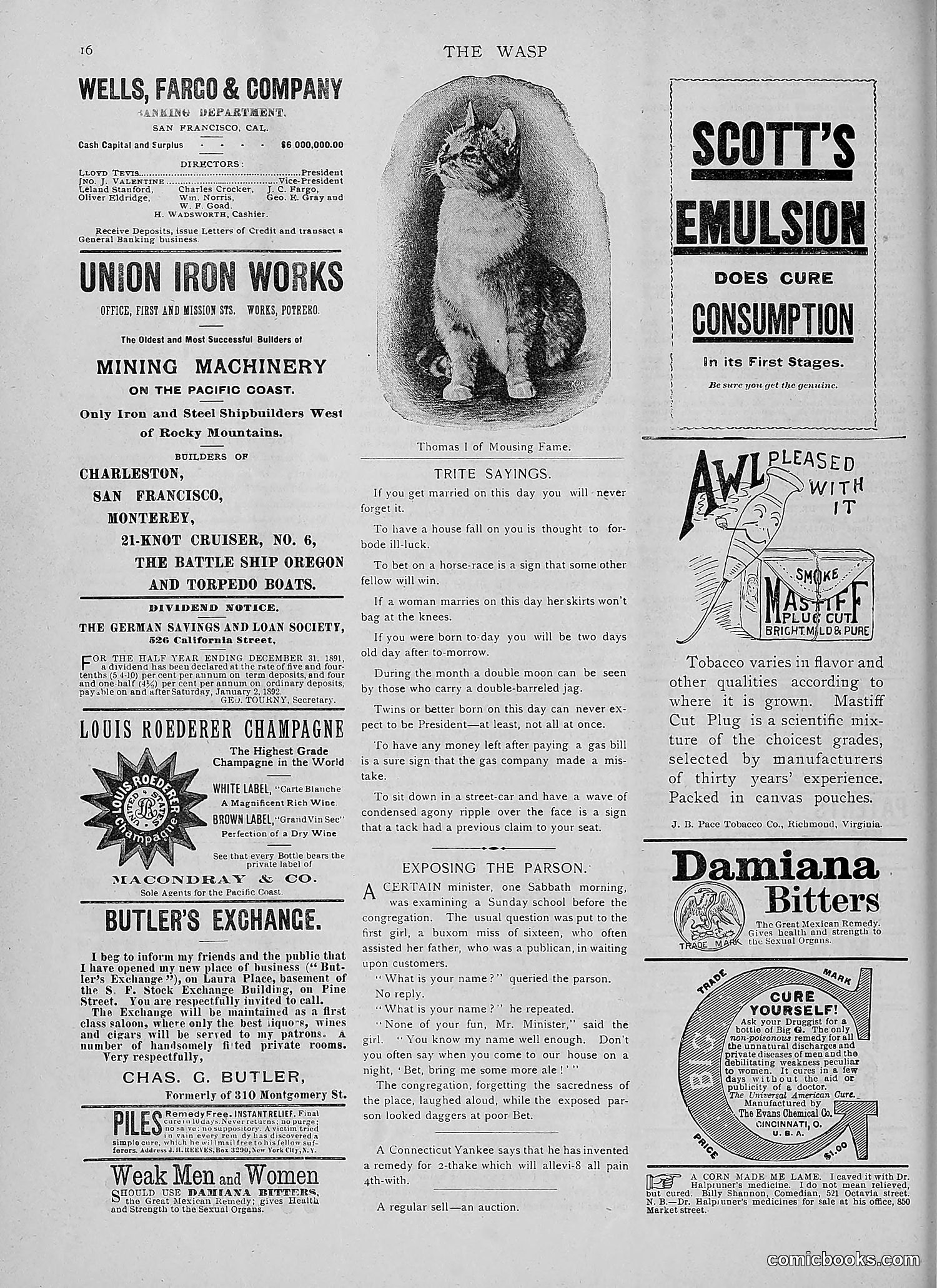 The Wasp — 1892 — page 107 of 542