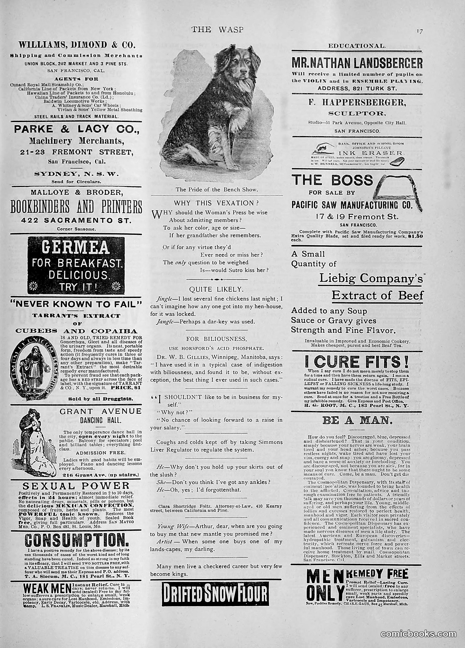 The Wasp — 1892 — page 108 of 542