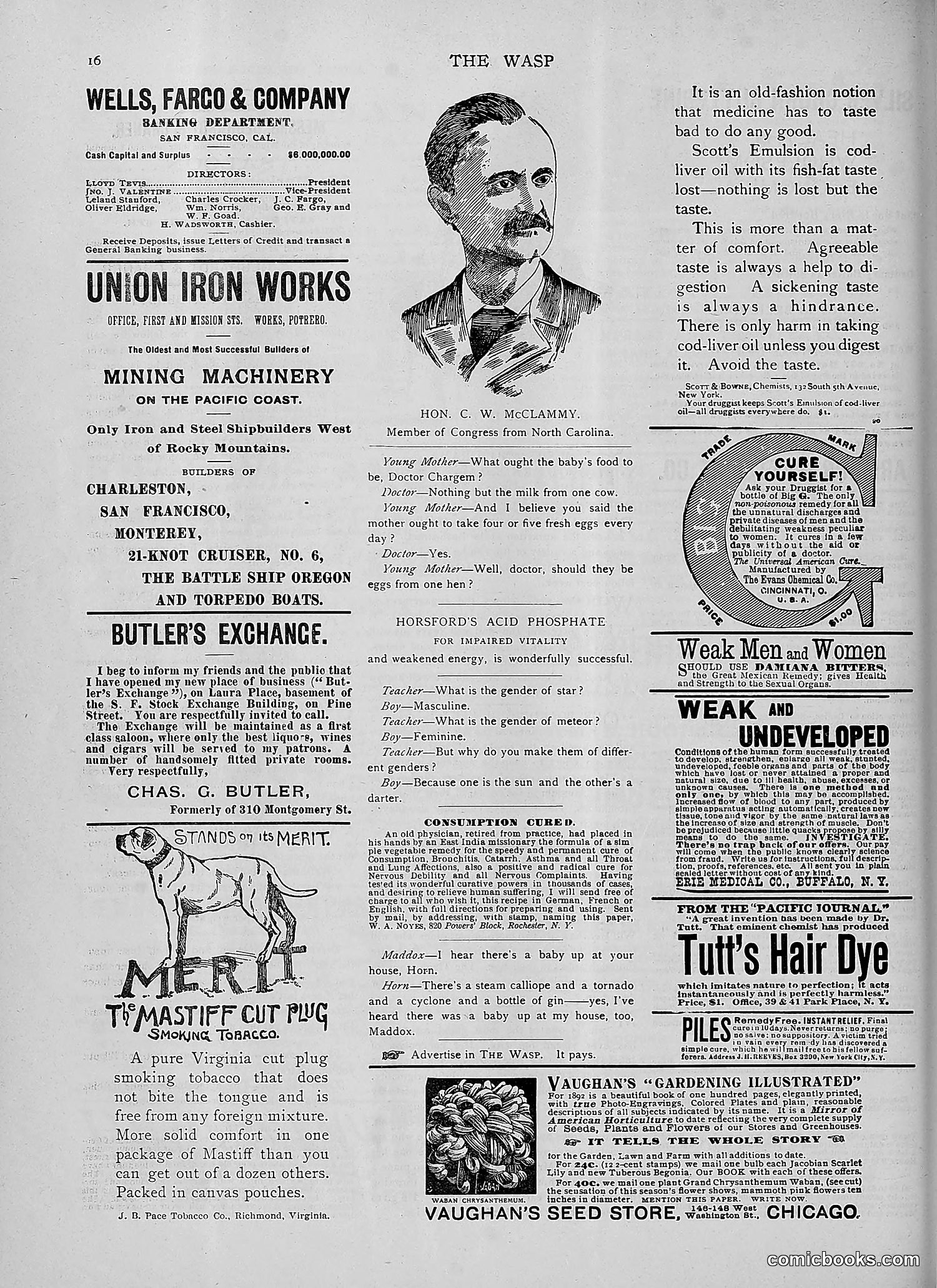 The Wasp — 1892 — page 127 of 542