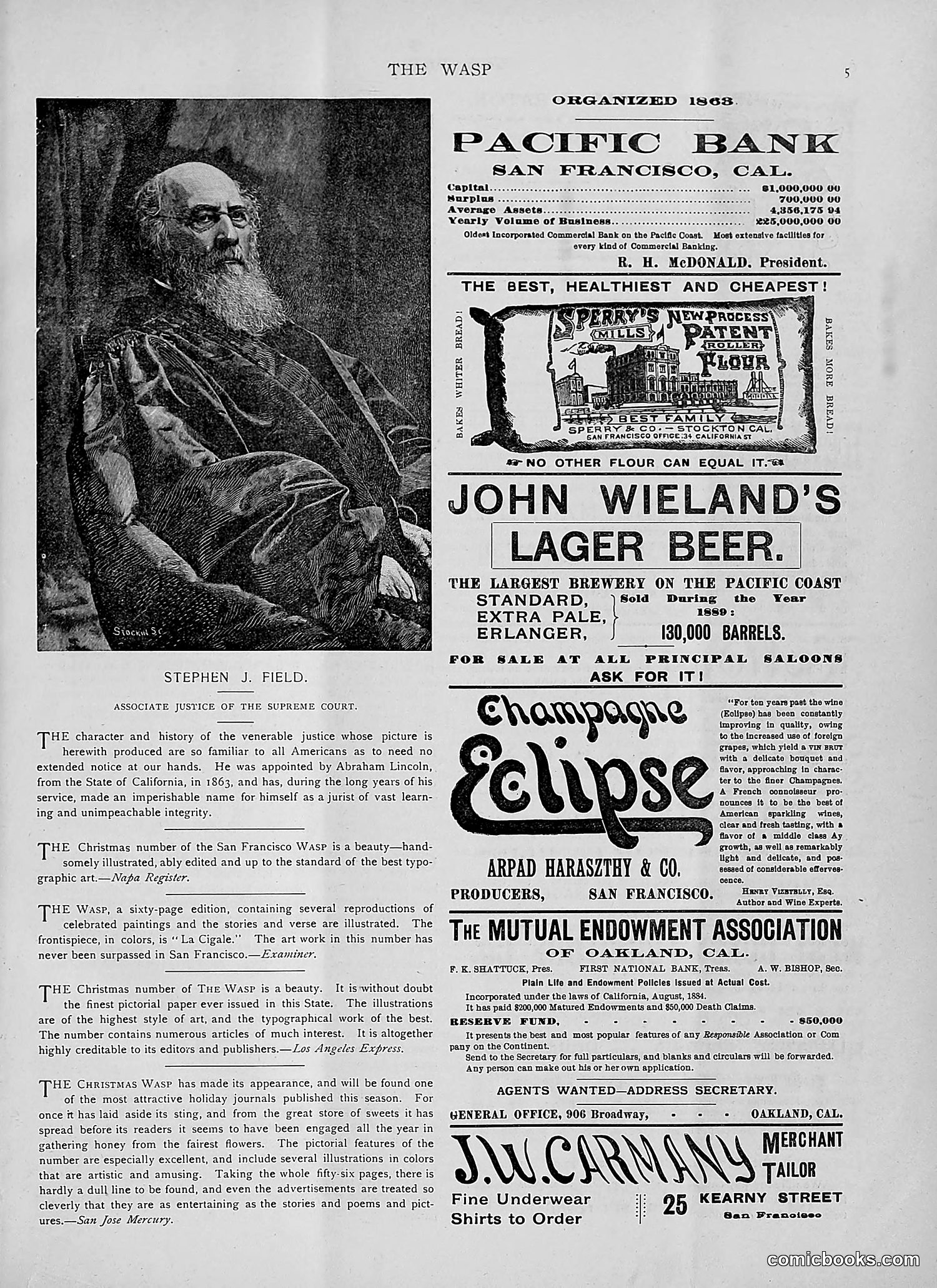 The Wasp — 1892 — page 14 of 542