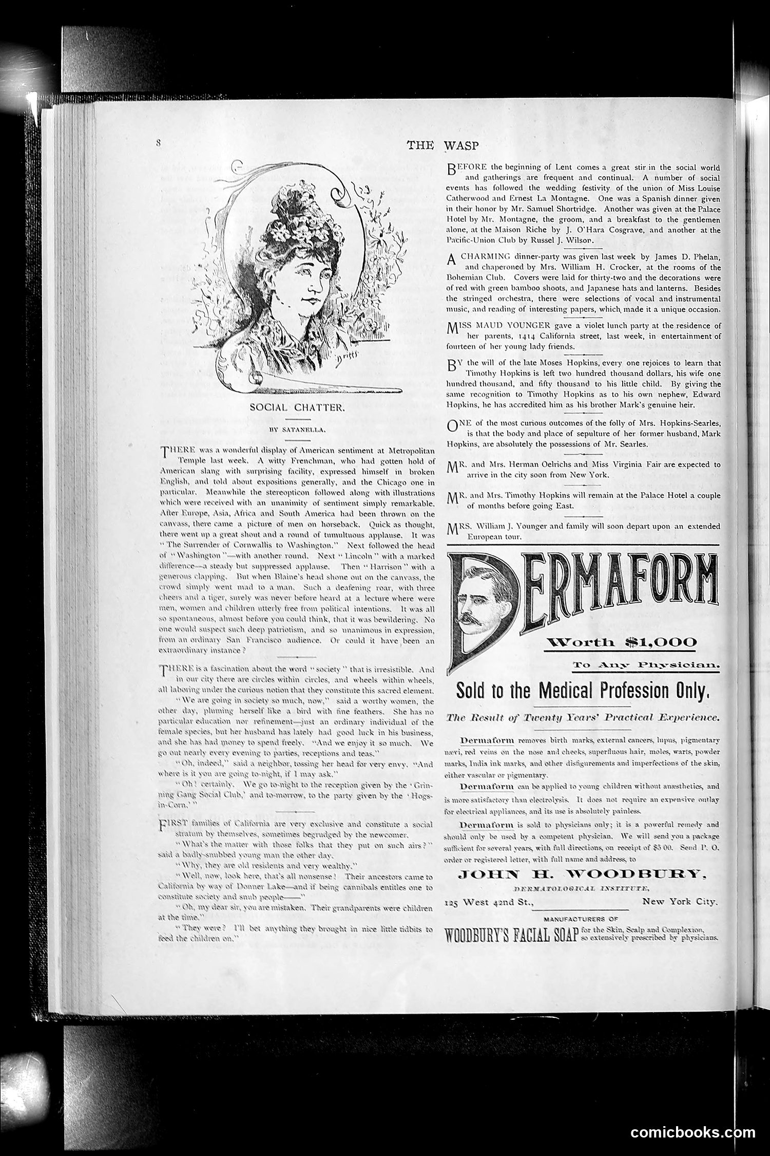 The Wasp — 1892 — page 139 of 542