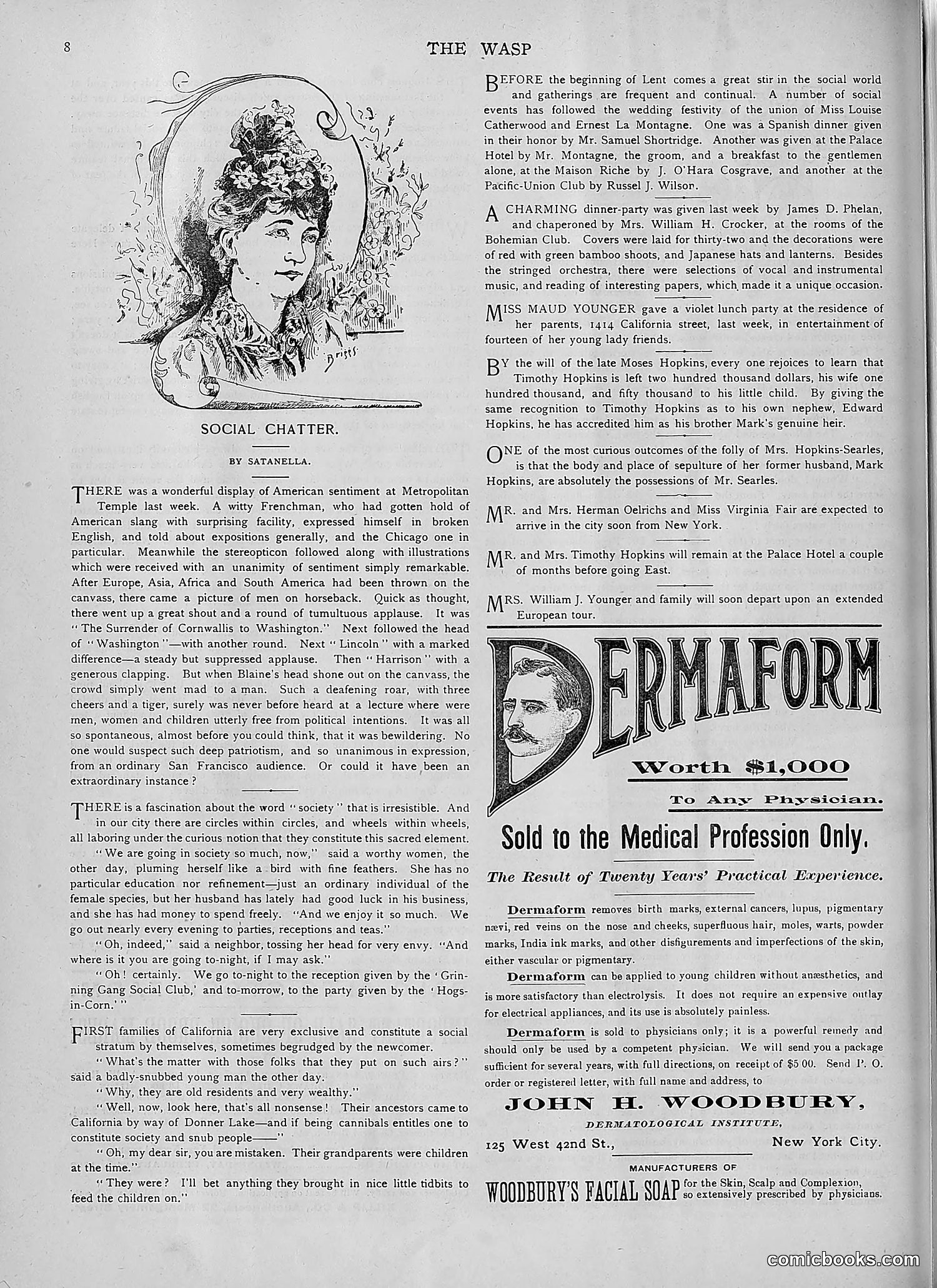 The Wasp — 1892 — page 141 of 542
