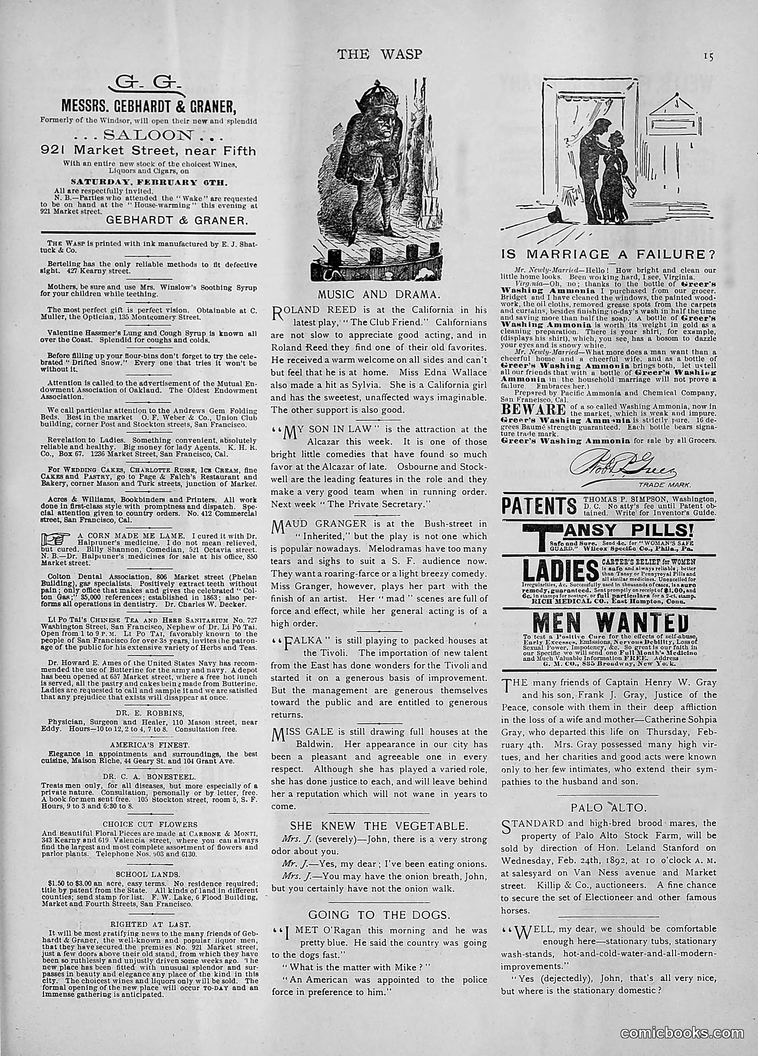 The Wasp — 1892 — page 148 of 542