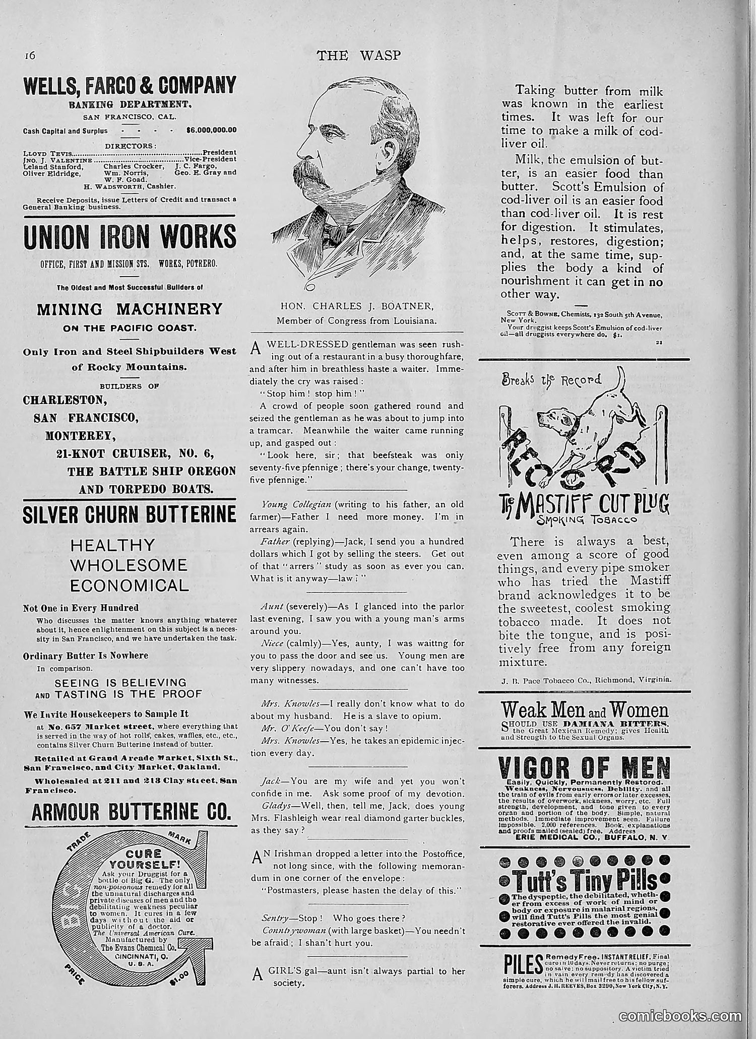 The Wasp — 1892 — page 149 of 542