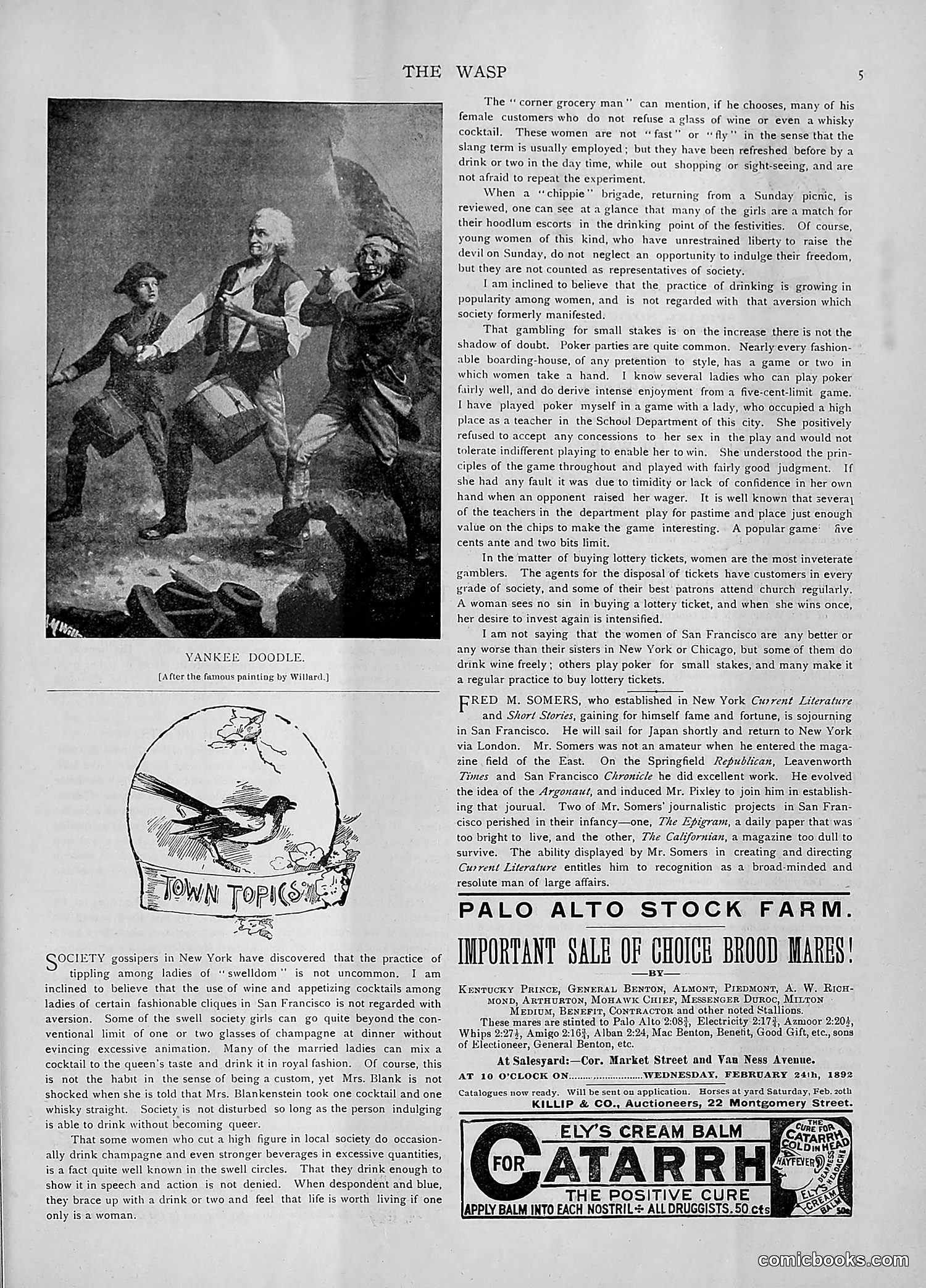 The Wasp — 1892 — page 158 of 542
