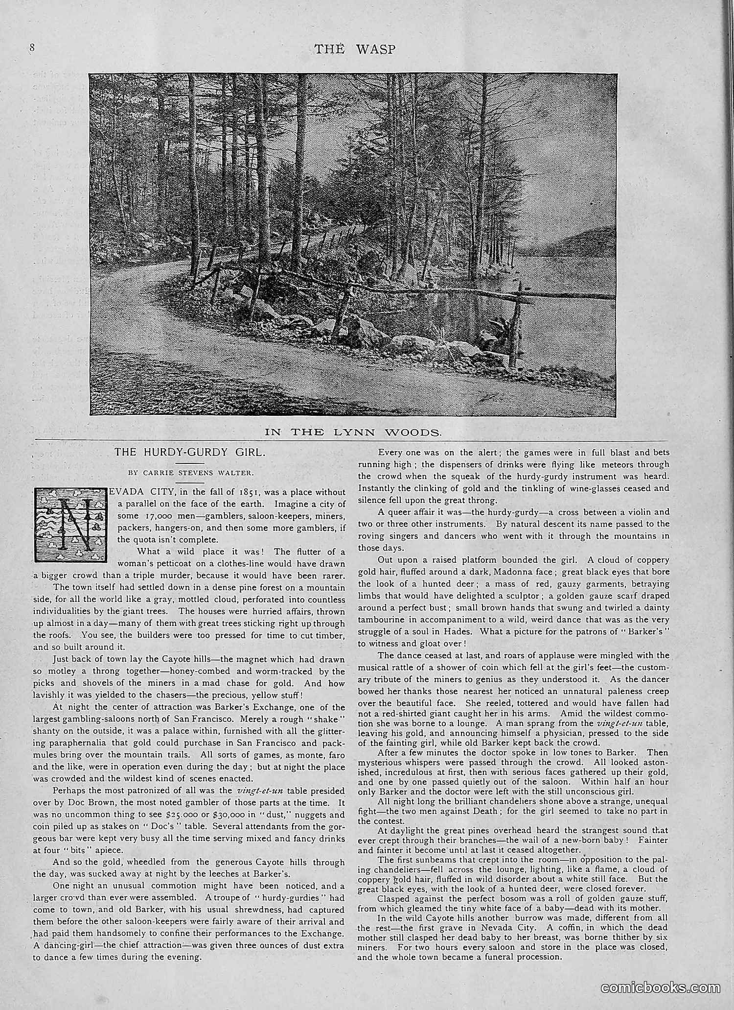 The Wasp — 1892 — page 17 of 542