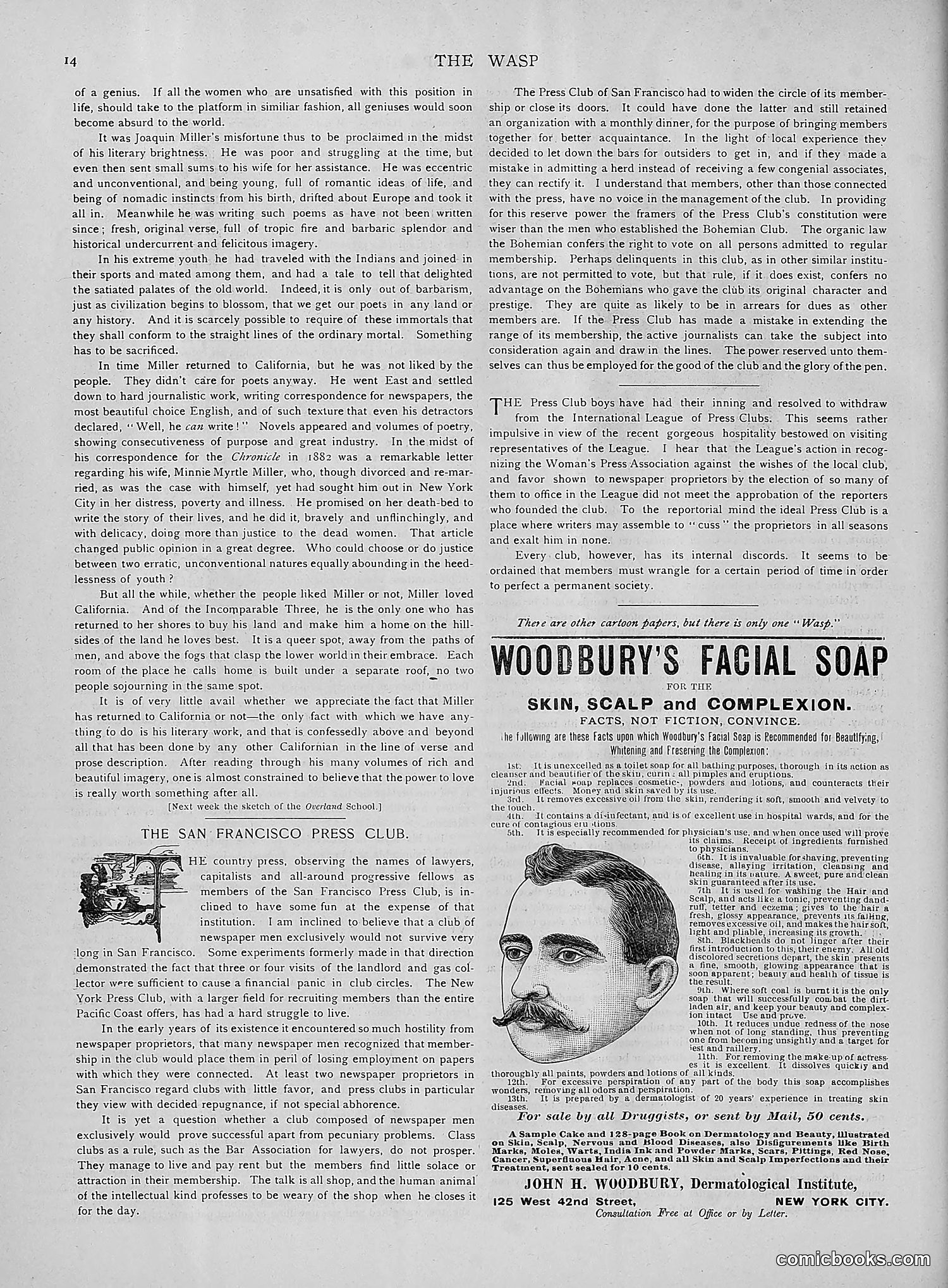 The Wasp — 1892 — page 167 of 542