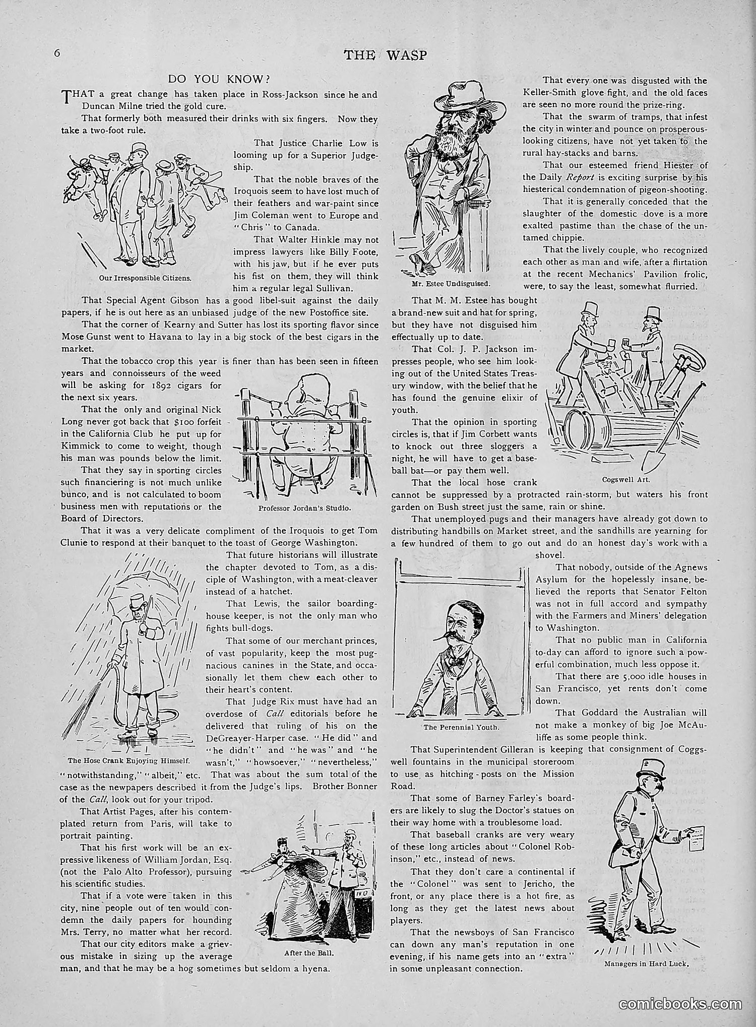 The Wasp — 1892 — page 179 of 542