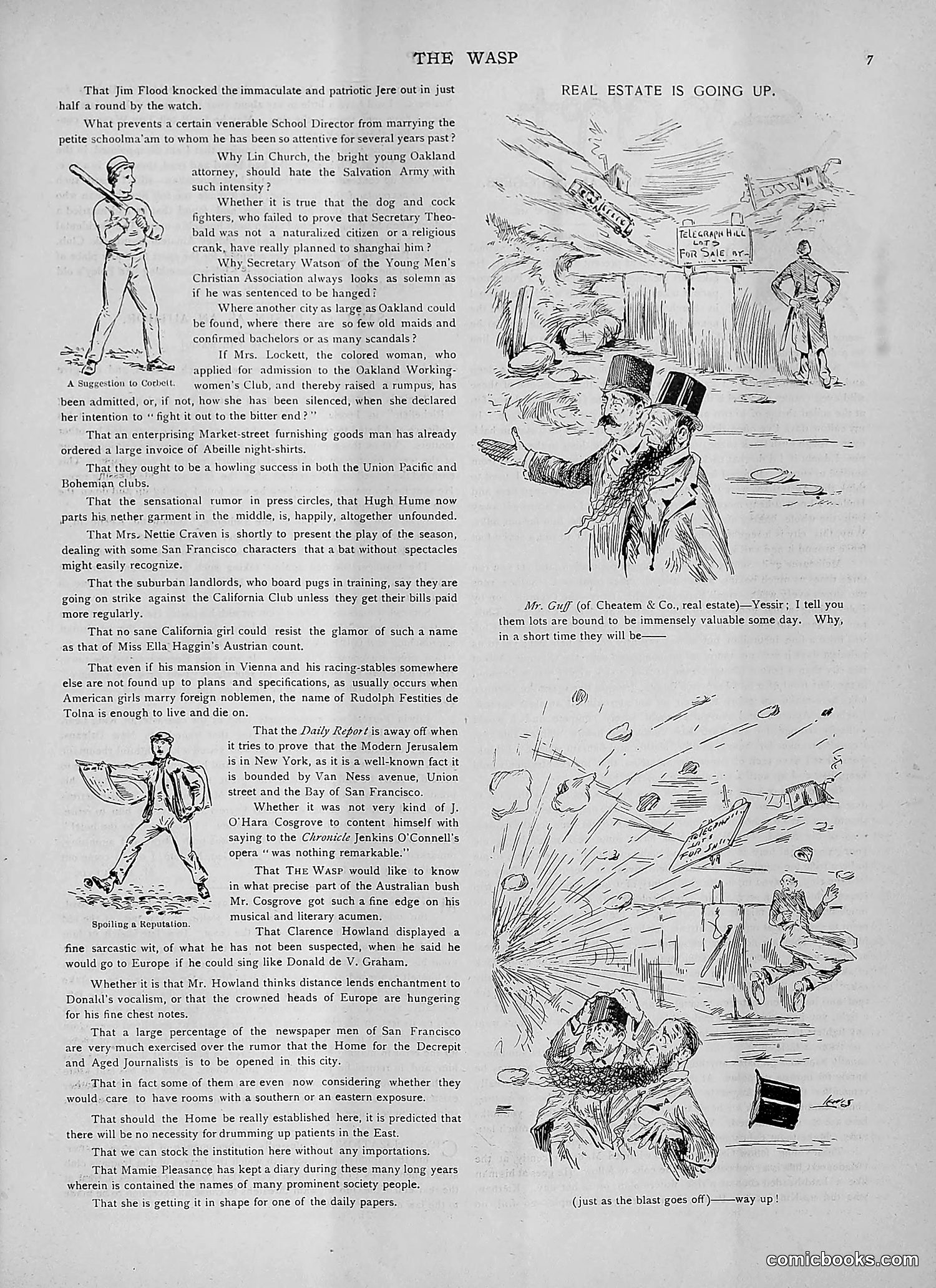 The Wasp — 1892 — page 180 of 542