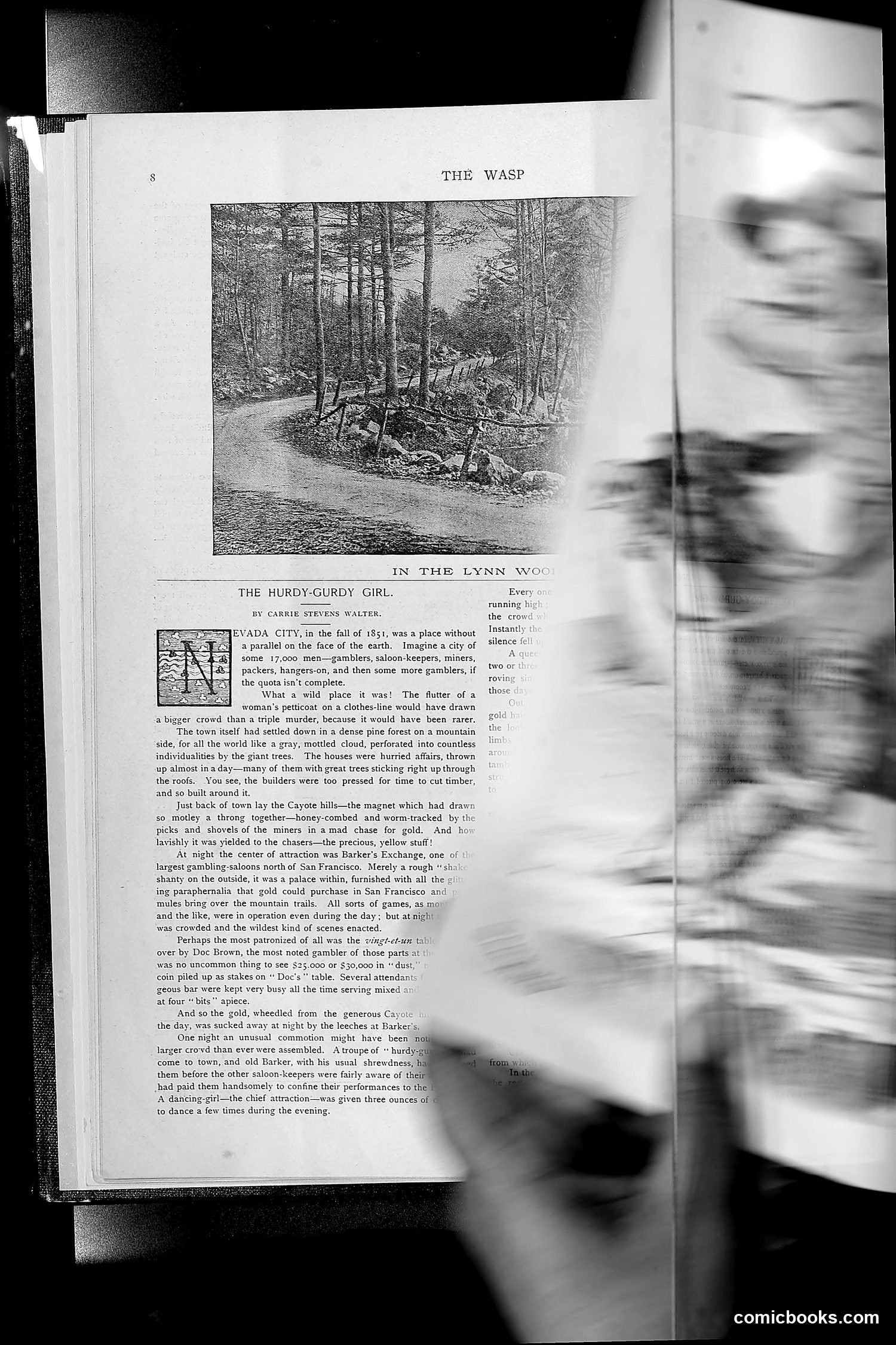 The Wasp — 1892 — page 19 of 542