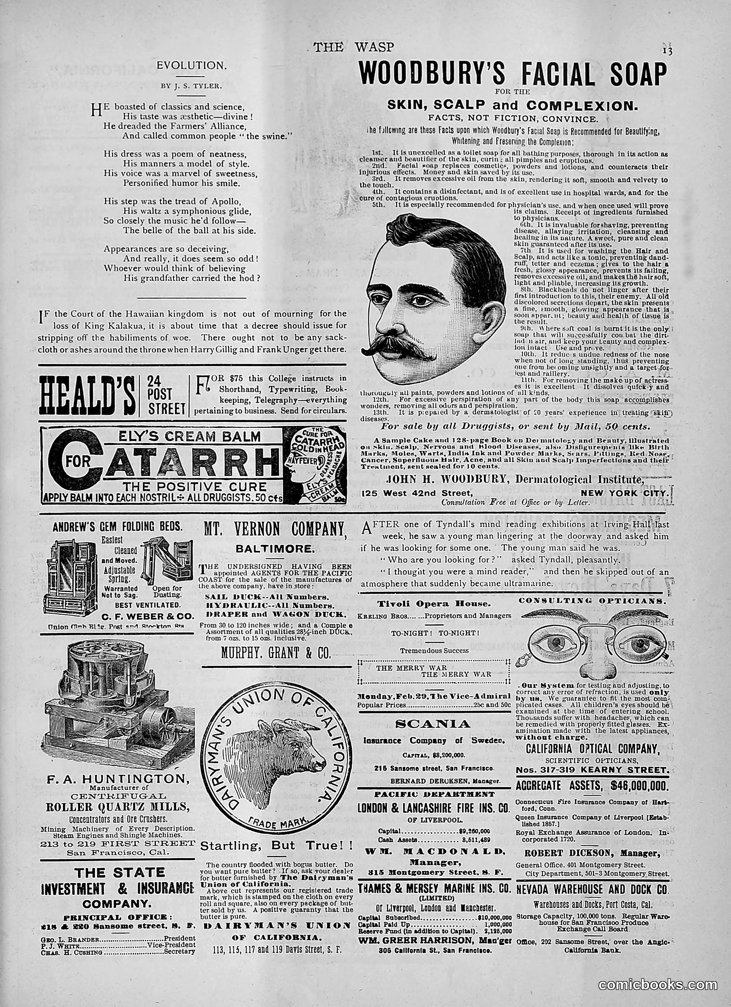 The Wasp — 1892 — page 186 of 542