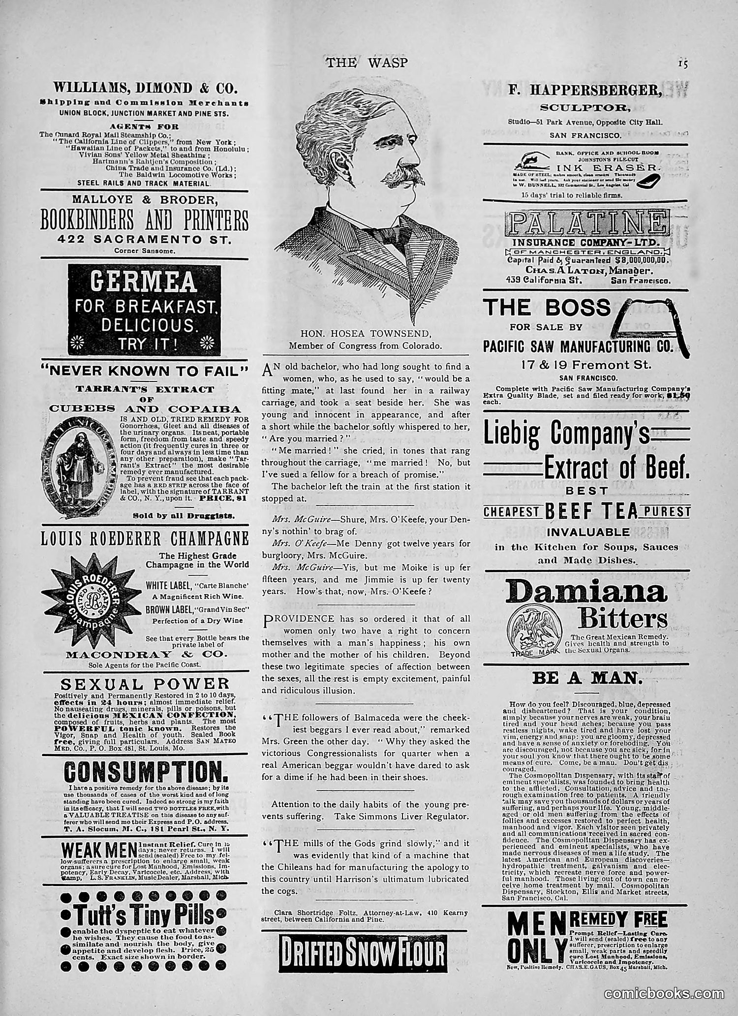 The Wasp — 1892 — page 188 of 542