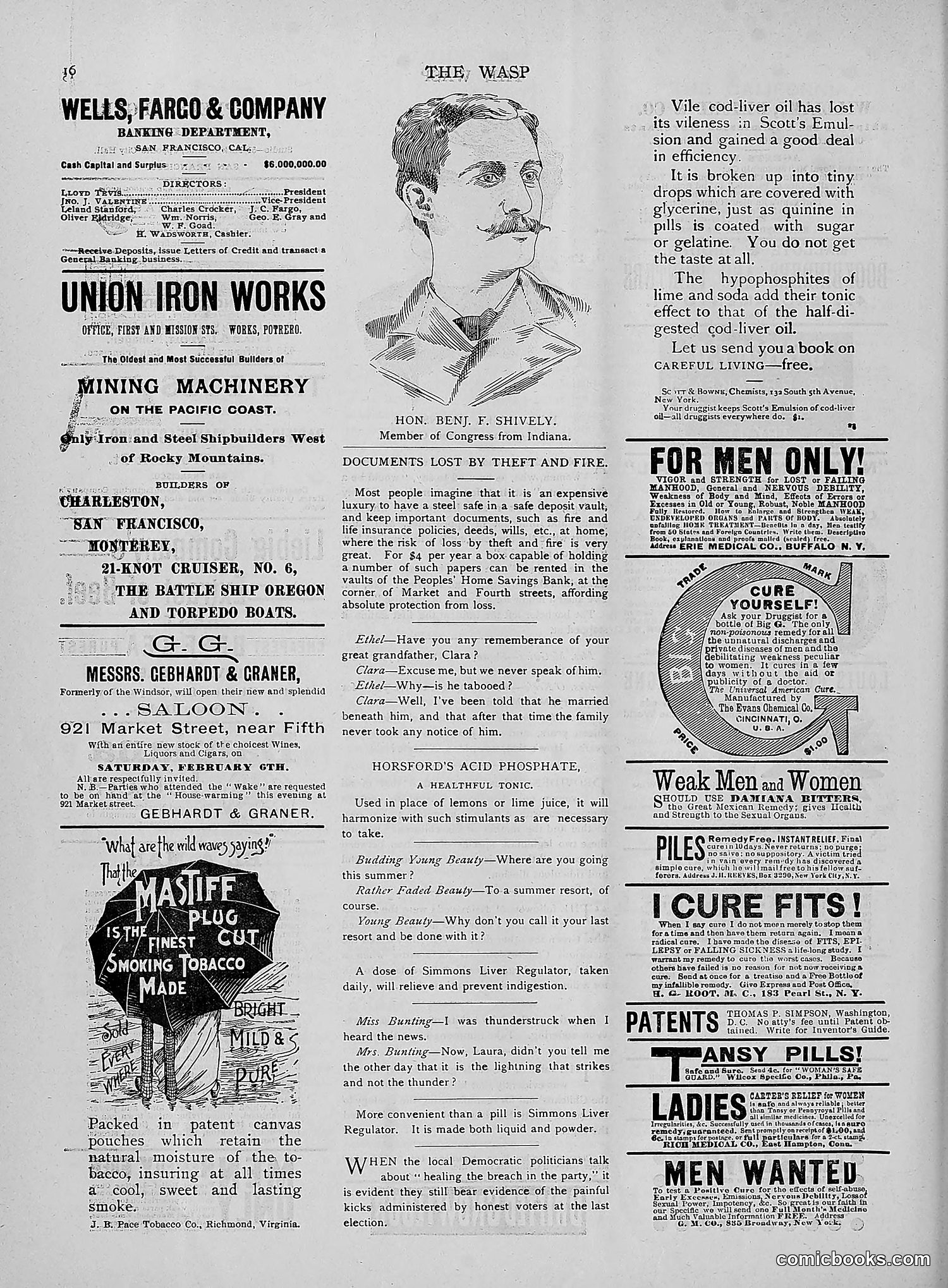 The Wasp — 1892 — page 189 of 542