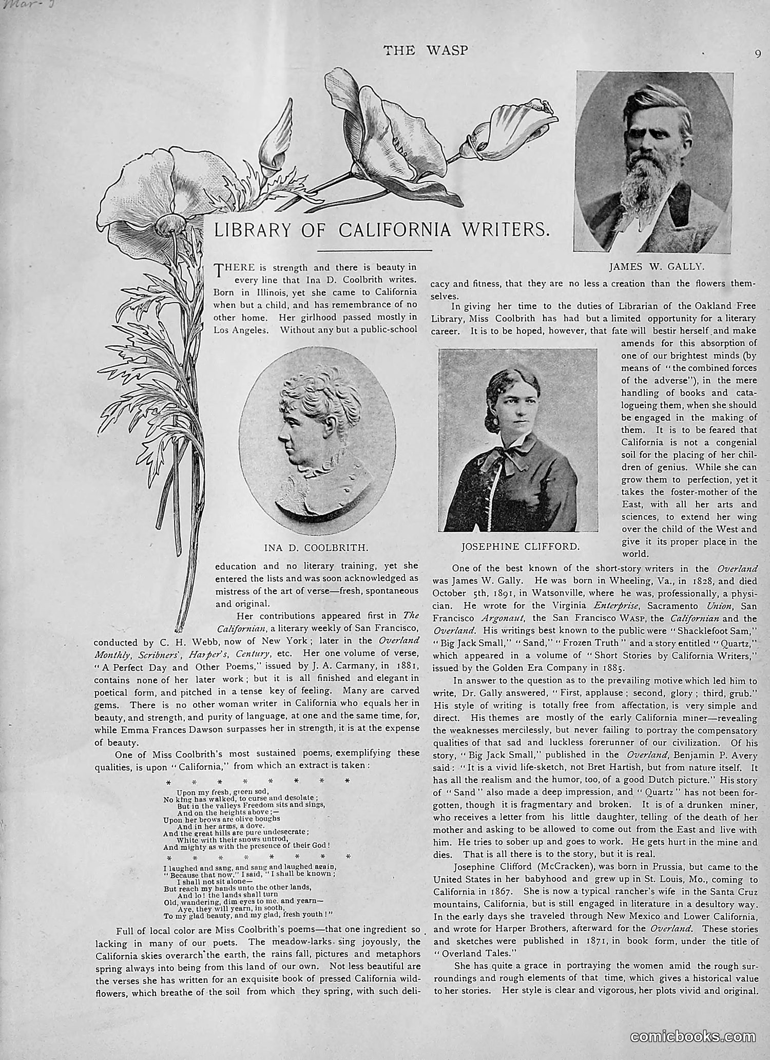 The Wasp — 1892 — page 202 of 542