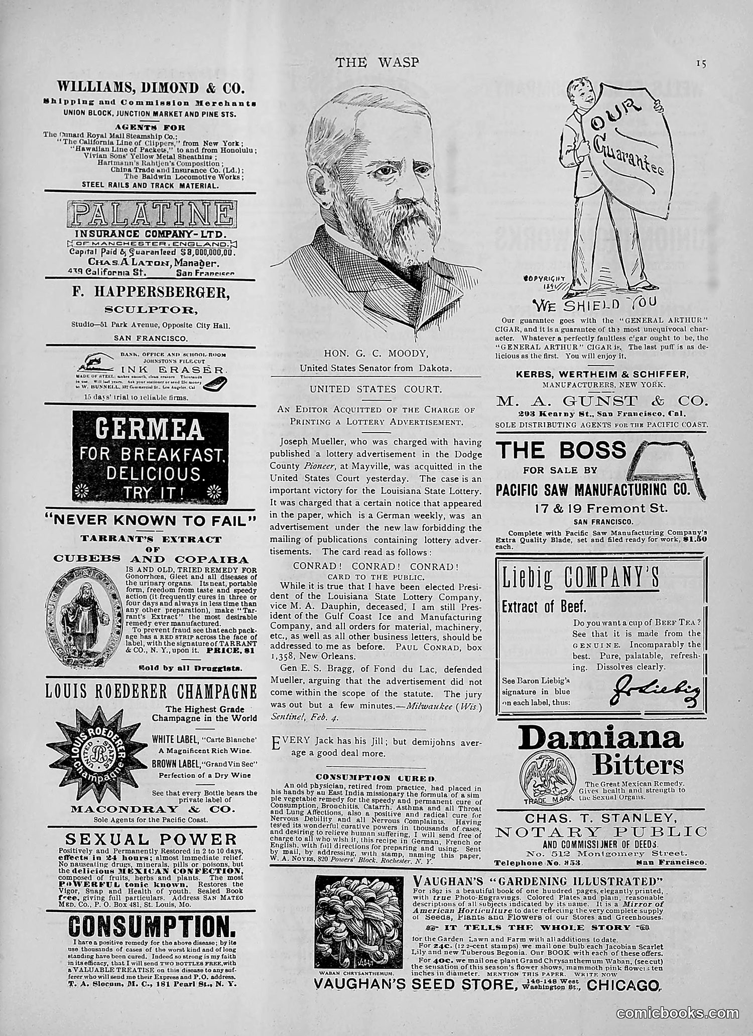 The Wasp — 1892 — page 210 of 542