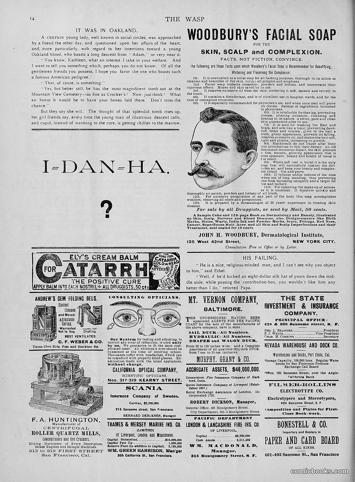 The Wasp — 1892 — page 229 of 542