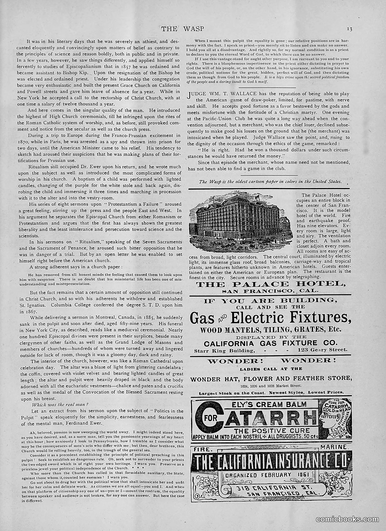 The Wasp — 1892 — page 24 of 542