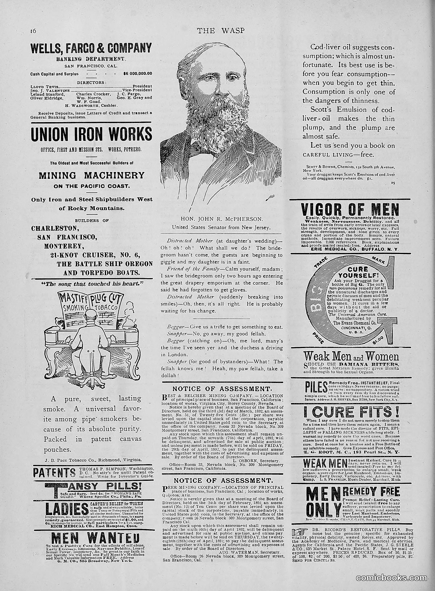 The Wasp — 1892 — page 231 of 542