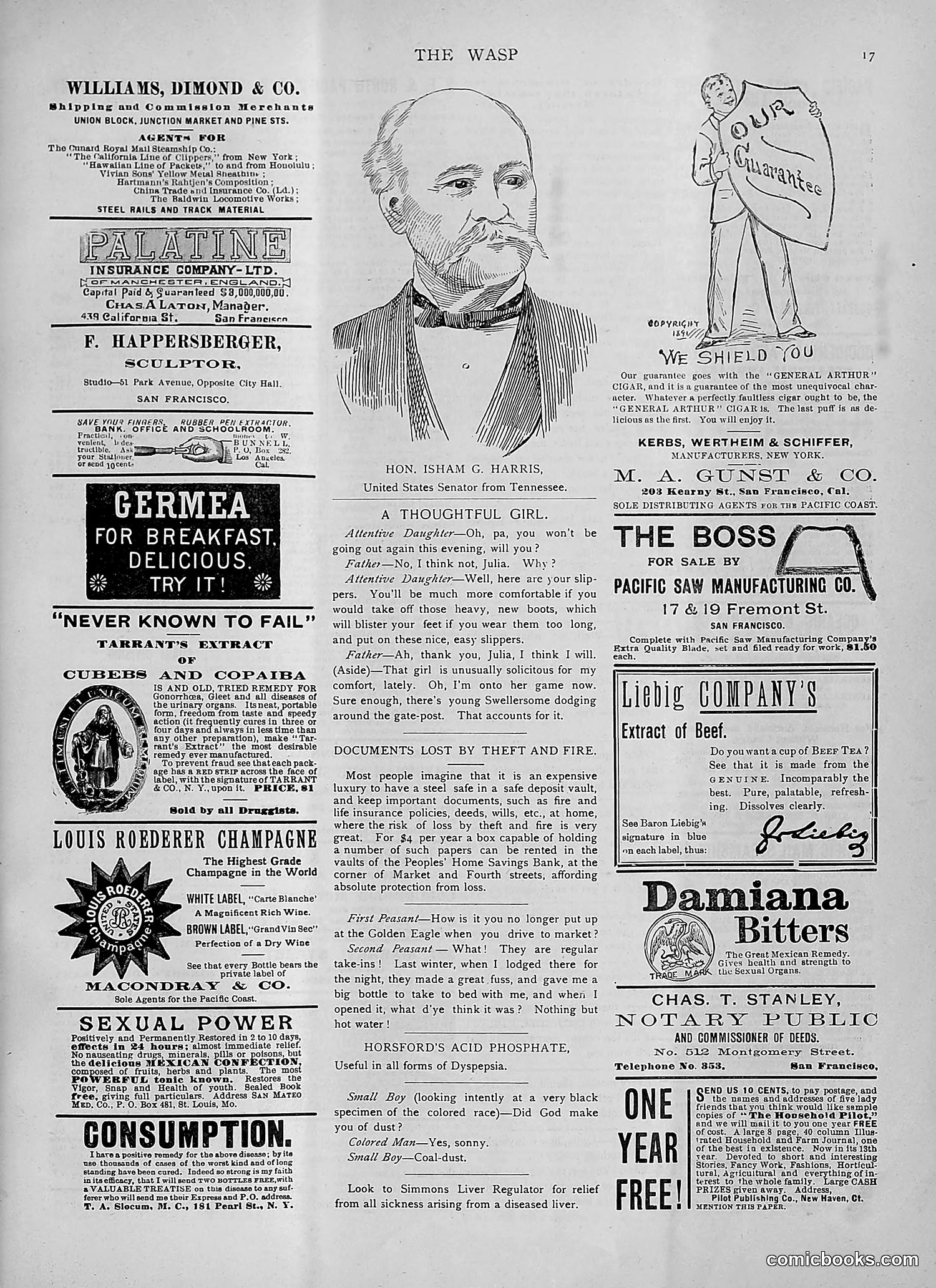 The Wasp — 1892 — page 232 of 542
