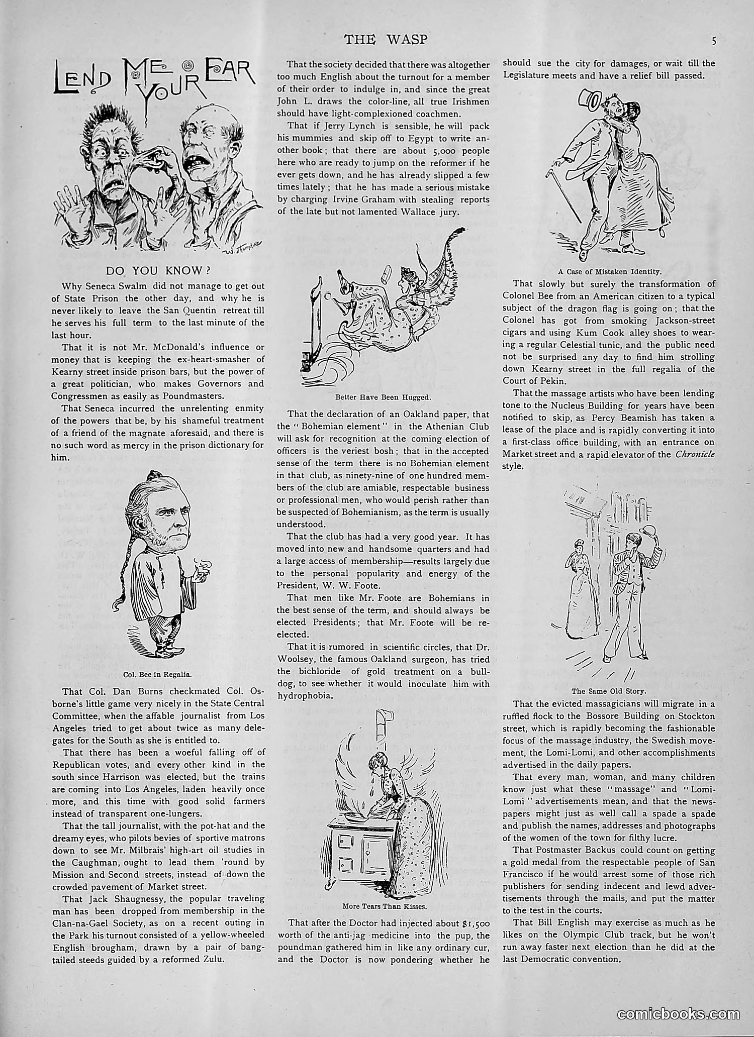 The Wasp — 1892 — page 240 of 542