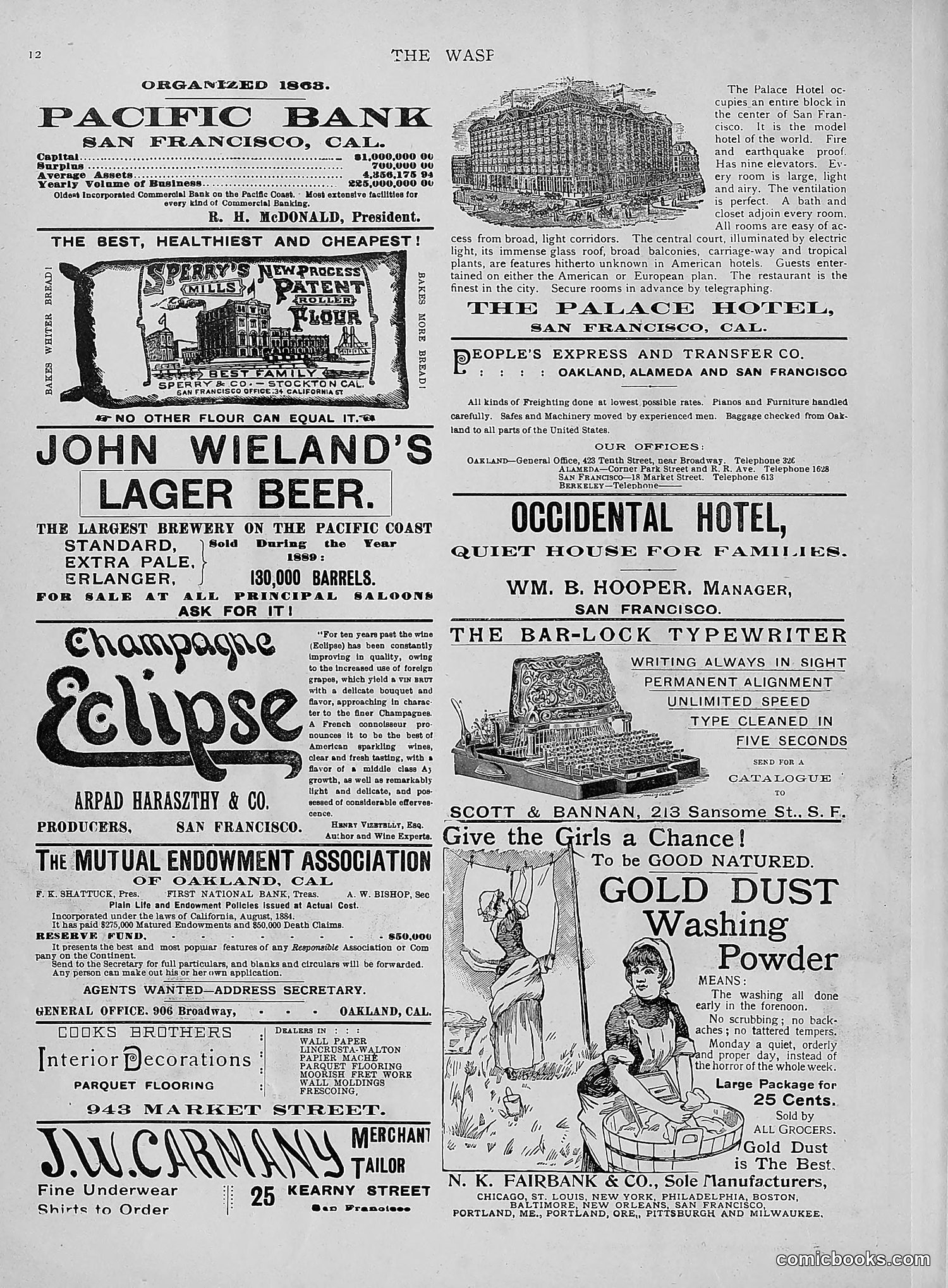 The Wasp — 1892 — page 247 of 542