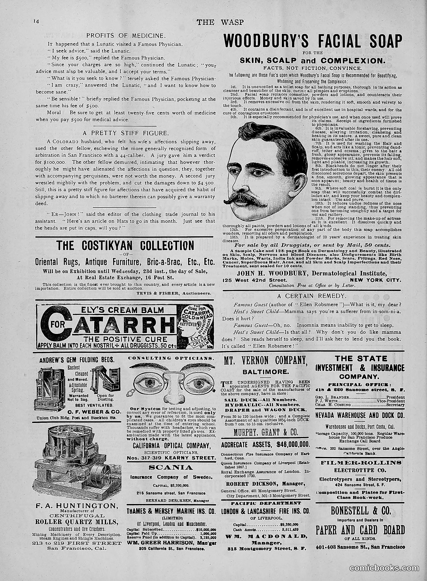 The Wasp — 1892 — page 249 of 542