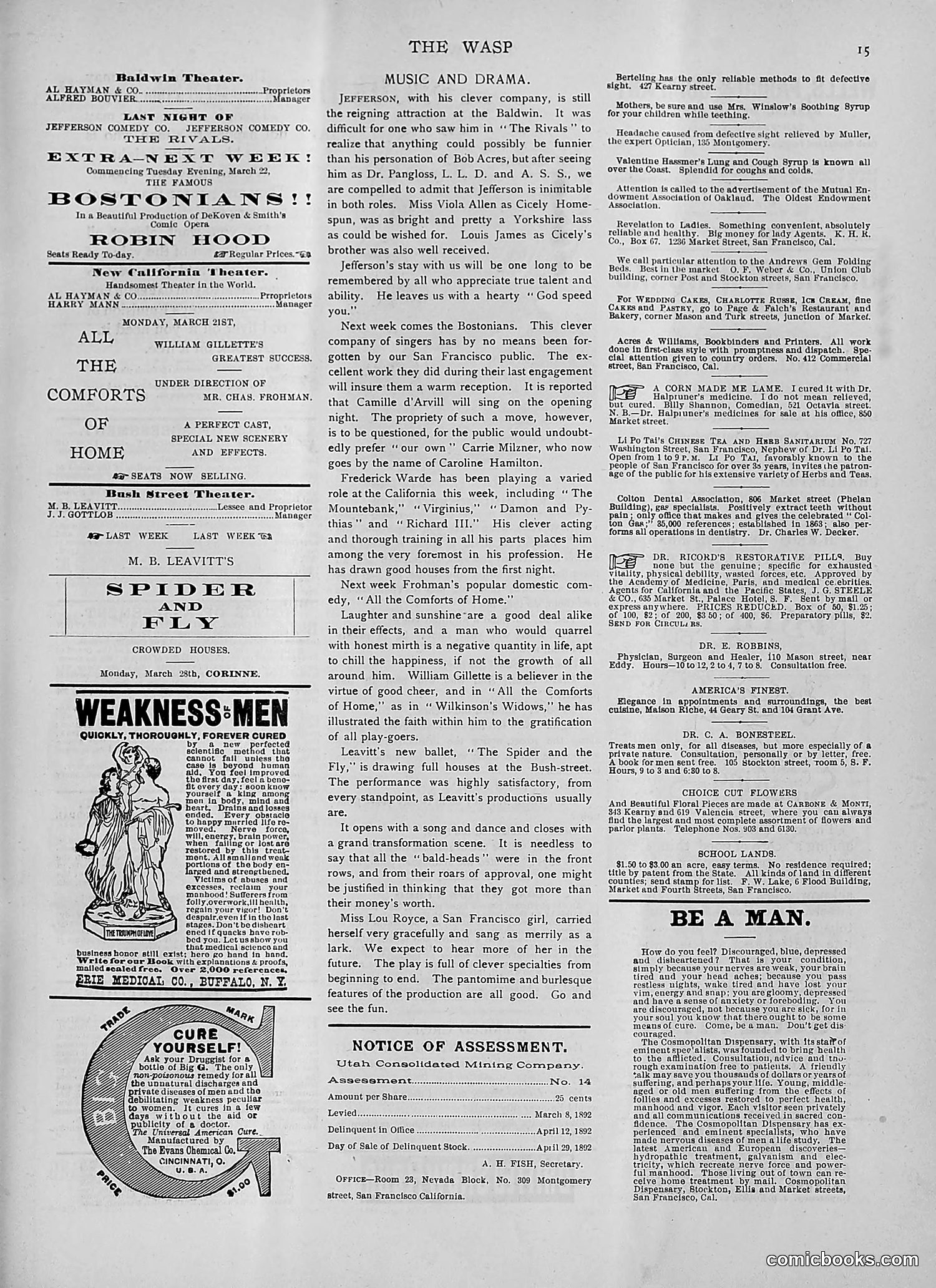 The Wasp — 1892 — page 250 of 542