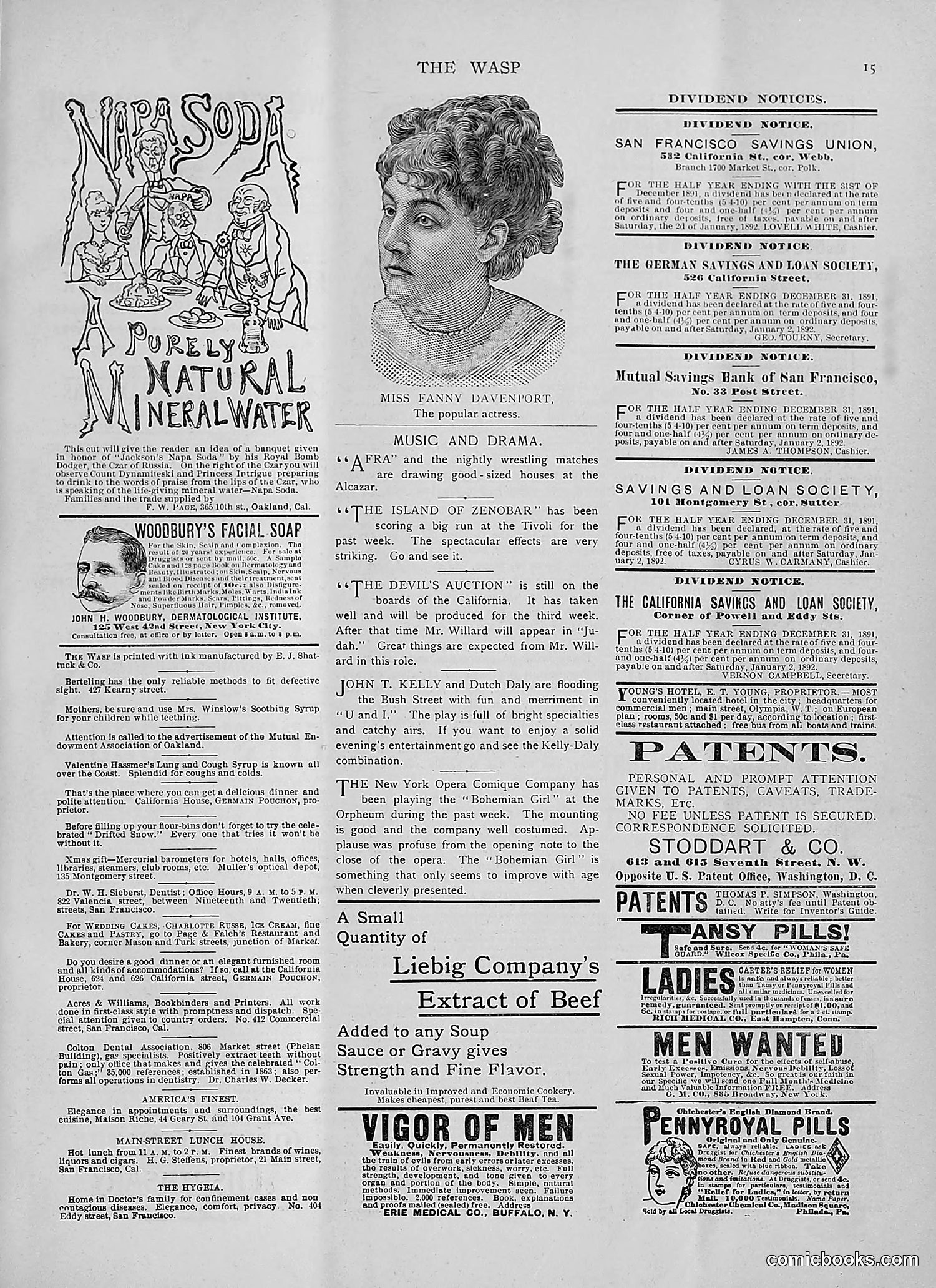 The Wasp — 1892 — page 26 of 542