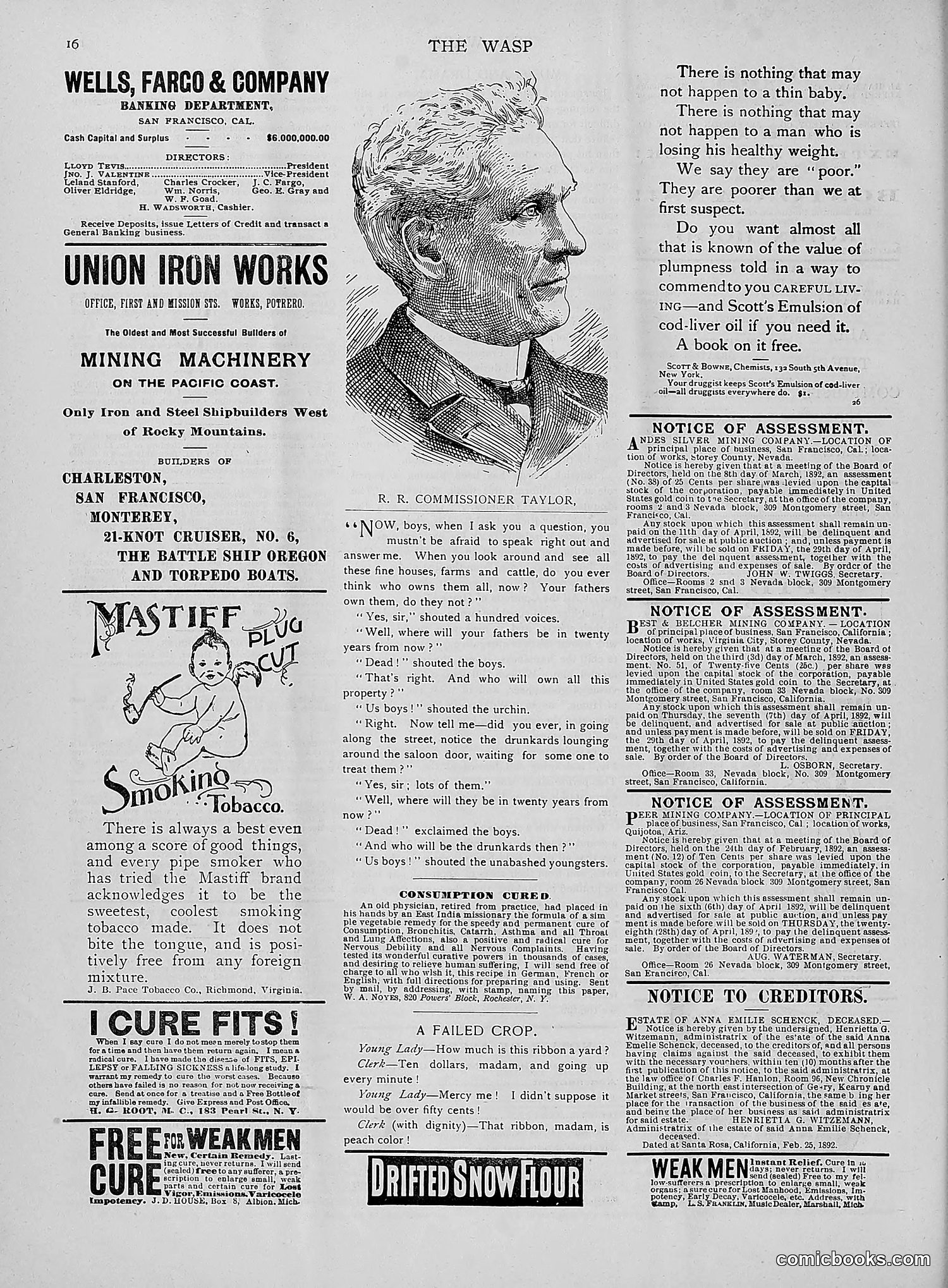 The Wasp — 1892 — page 251 of 542