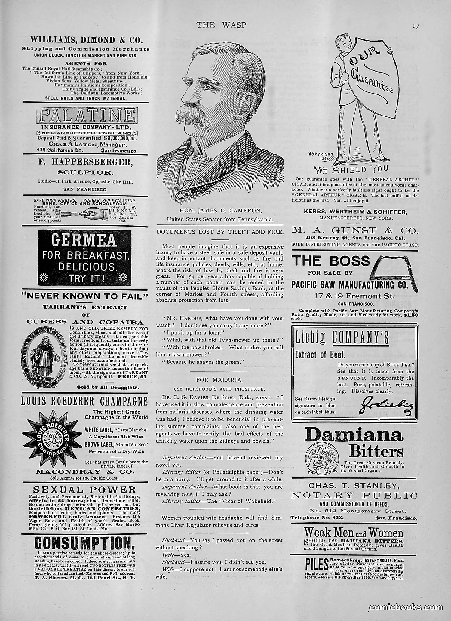 The Wasp — 1892 — page 252 of 542