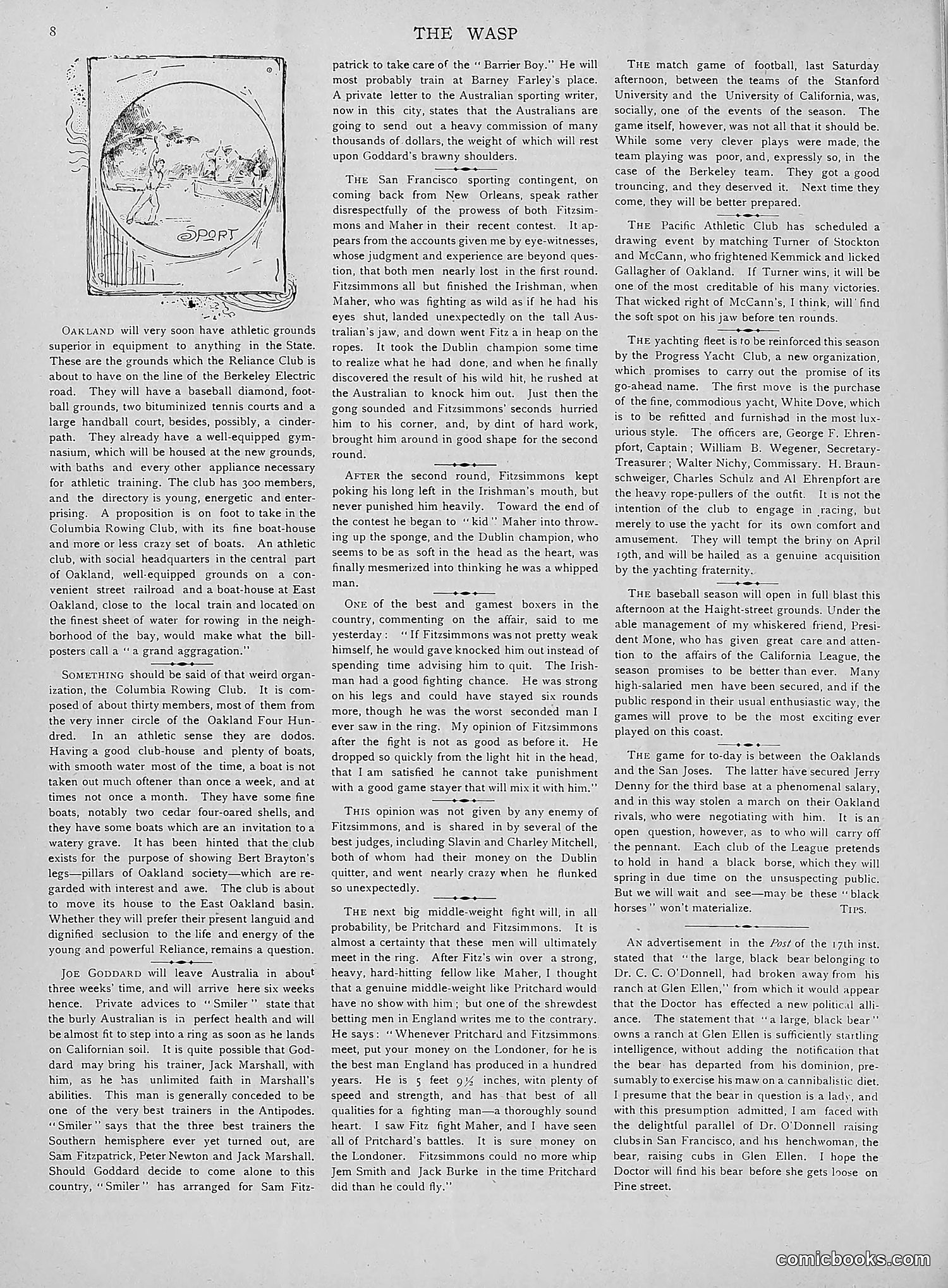 The Wasp — 1892 — page 263 of 542