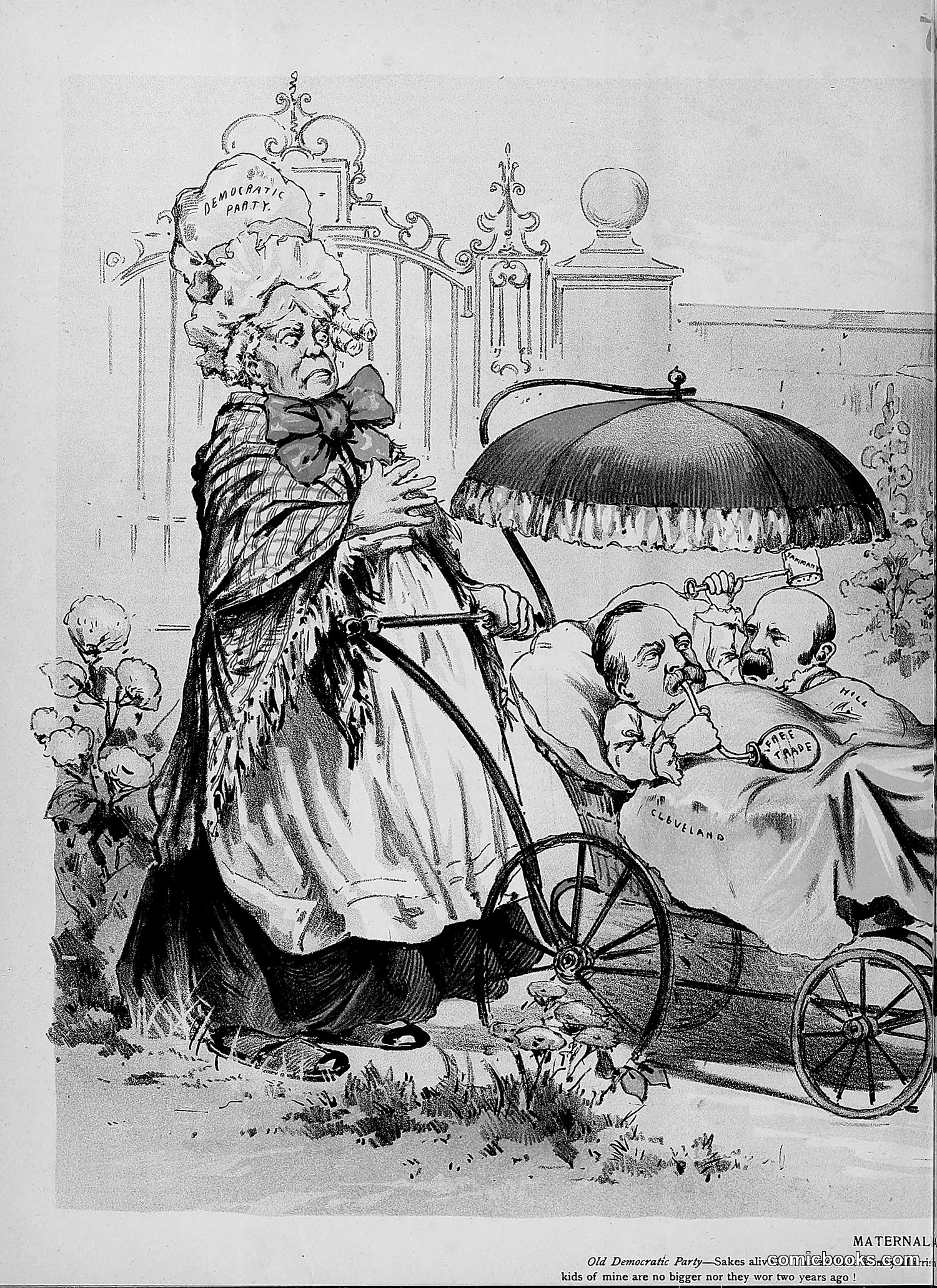 The Wasp — 1892 — page 265 of 542