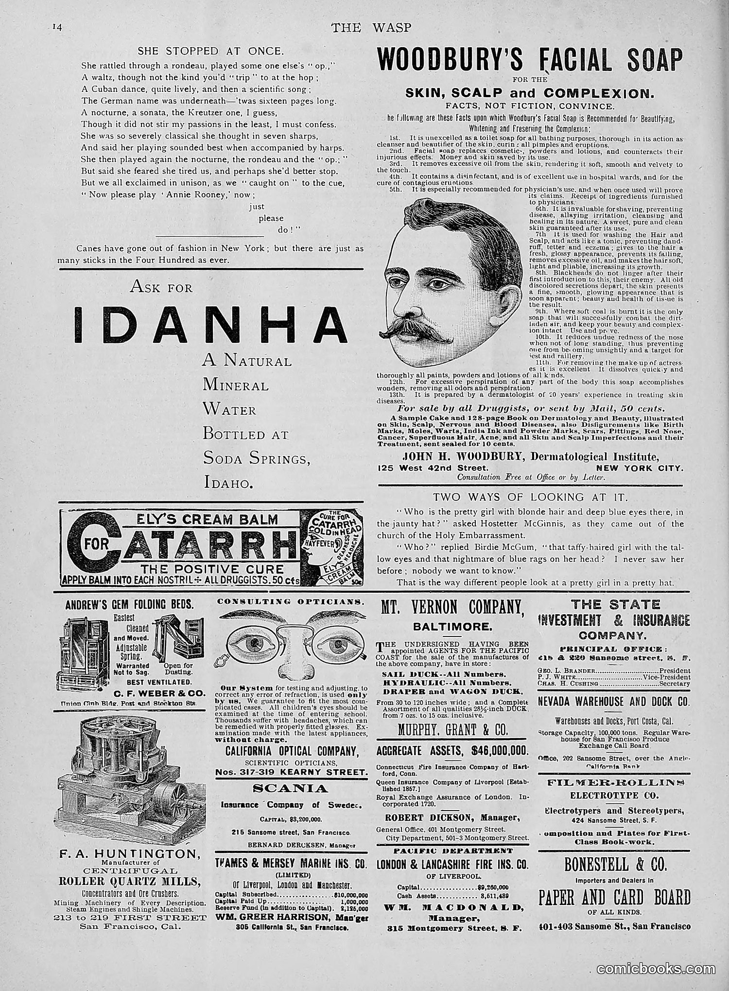 The Wasp — 1892 — page 269 of 542