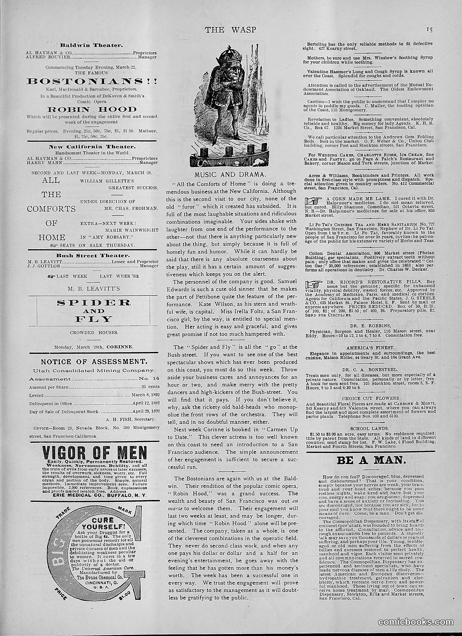 The Wasp — 1892 — page 270 of 542