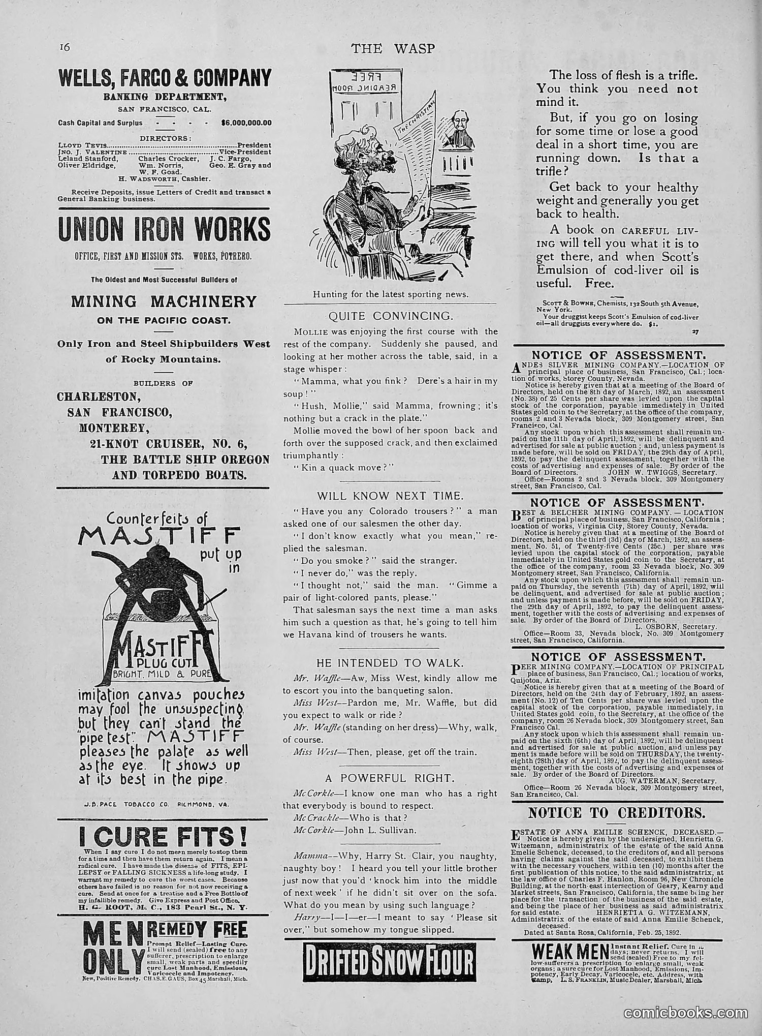 The Wasp — 1892 — page 271 of 542