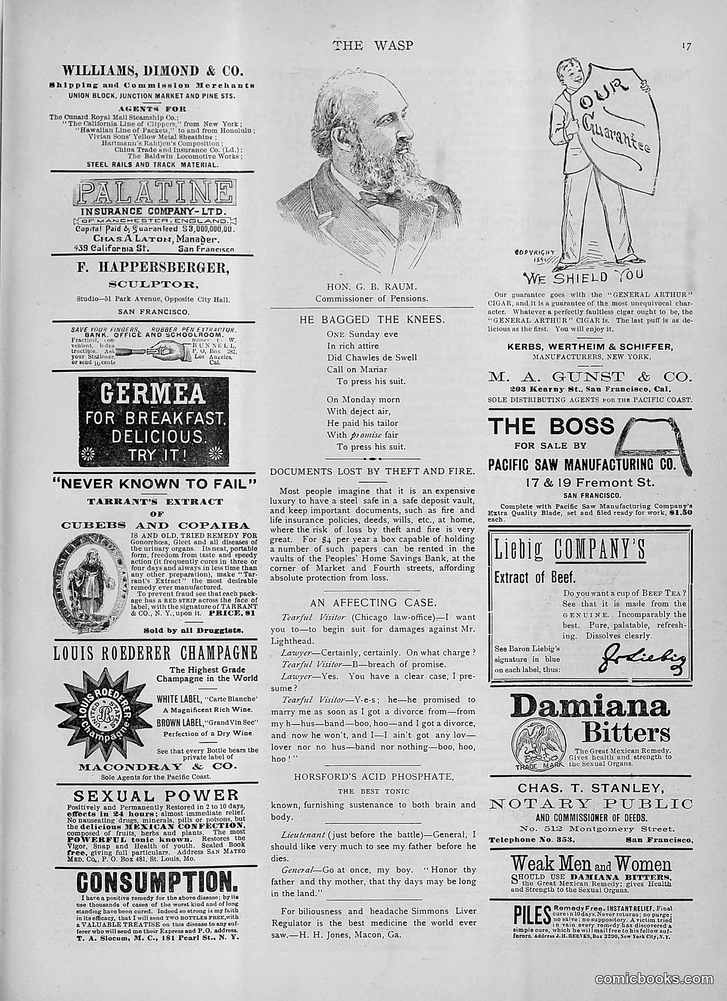 The Wasp — 1892 — page 272 of 542