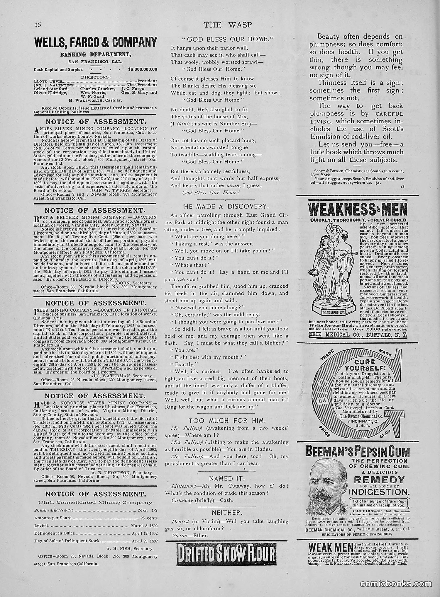 The Wasp — 1892 — page 291 of 542