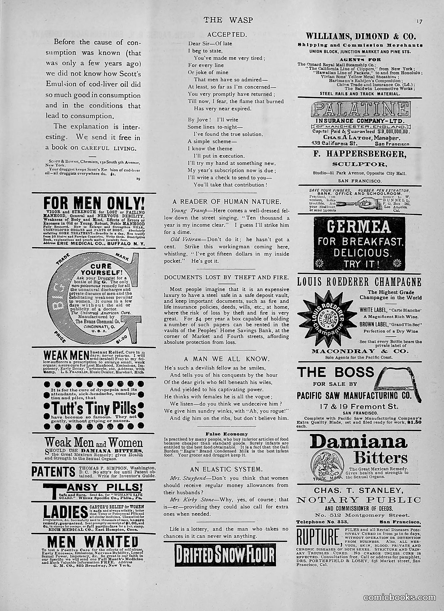 The Wasp — 1892 — page 312 of 542