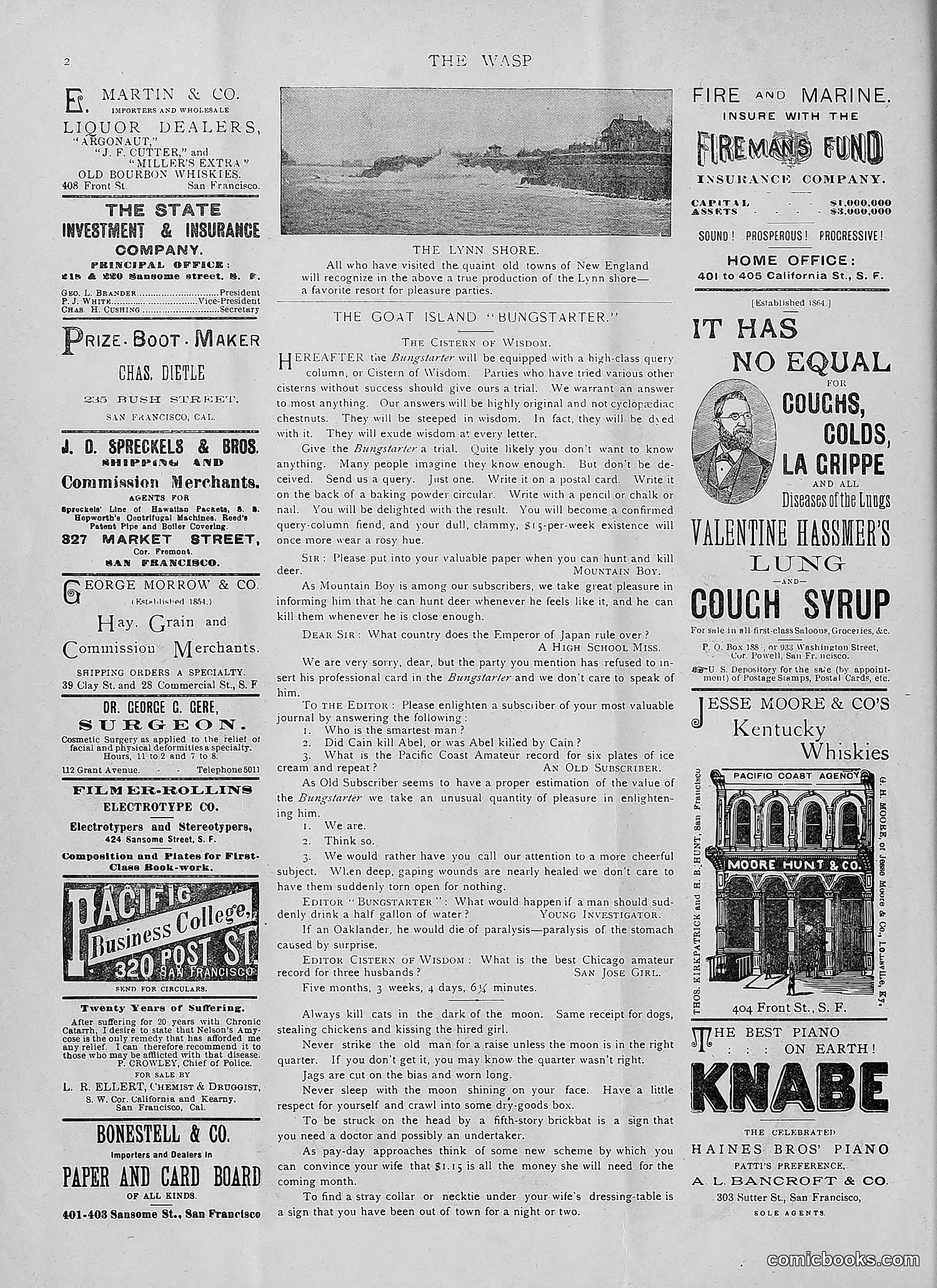 The Wasp — 1892 — page 33 of 542