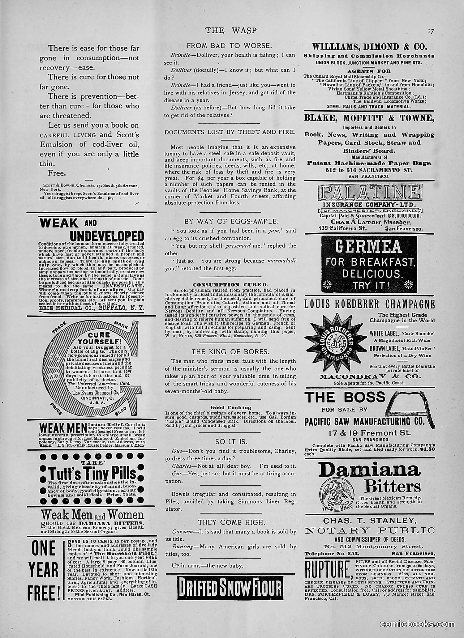 The Wasp — 1892 — page 332 of 542