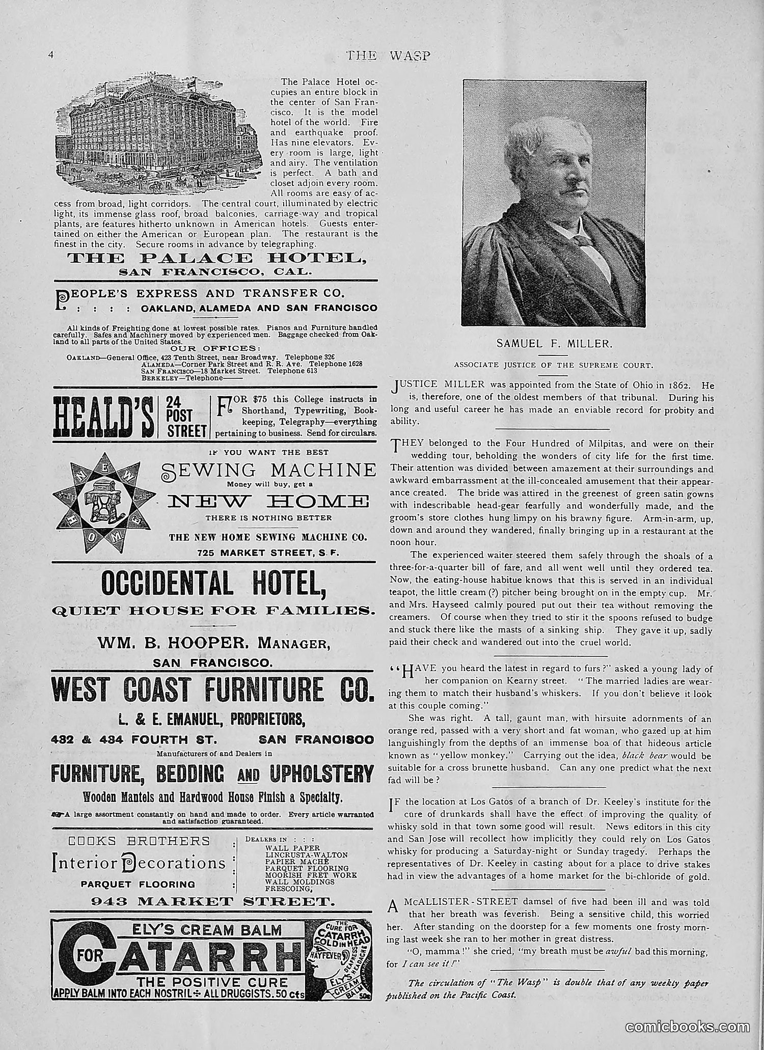 The Wasp — 1892 — page 35 of 542