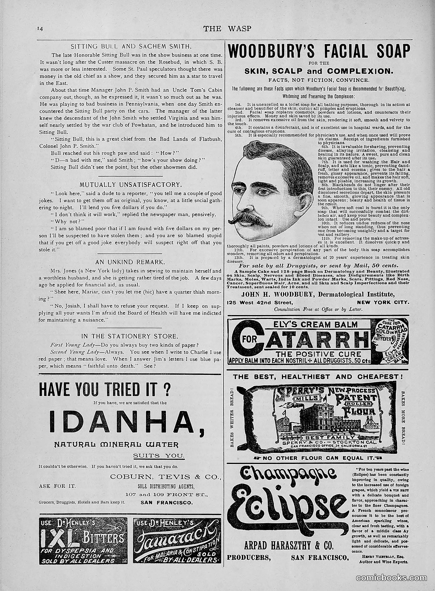 The Wasp — 1892 — page 349 of 542