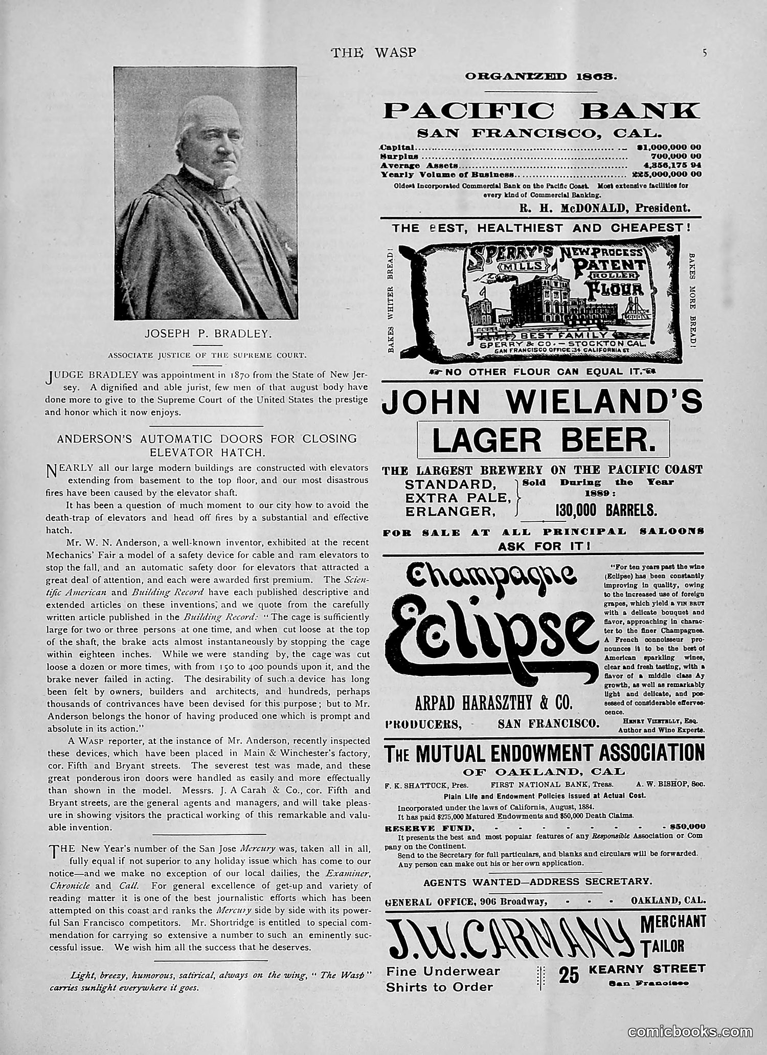 The Wasp — 1892 — page 36 of 542