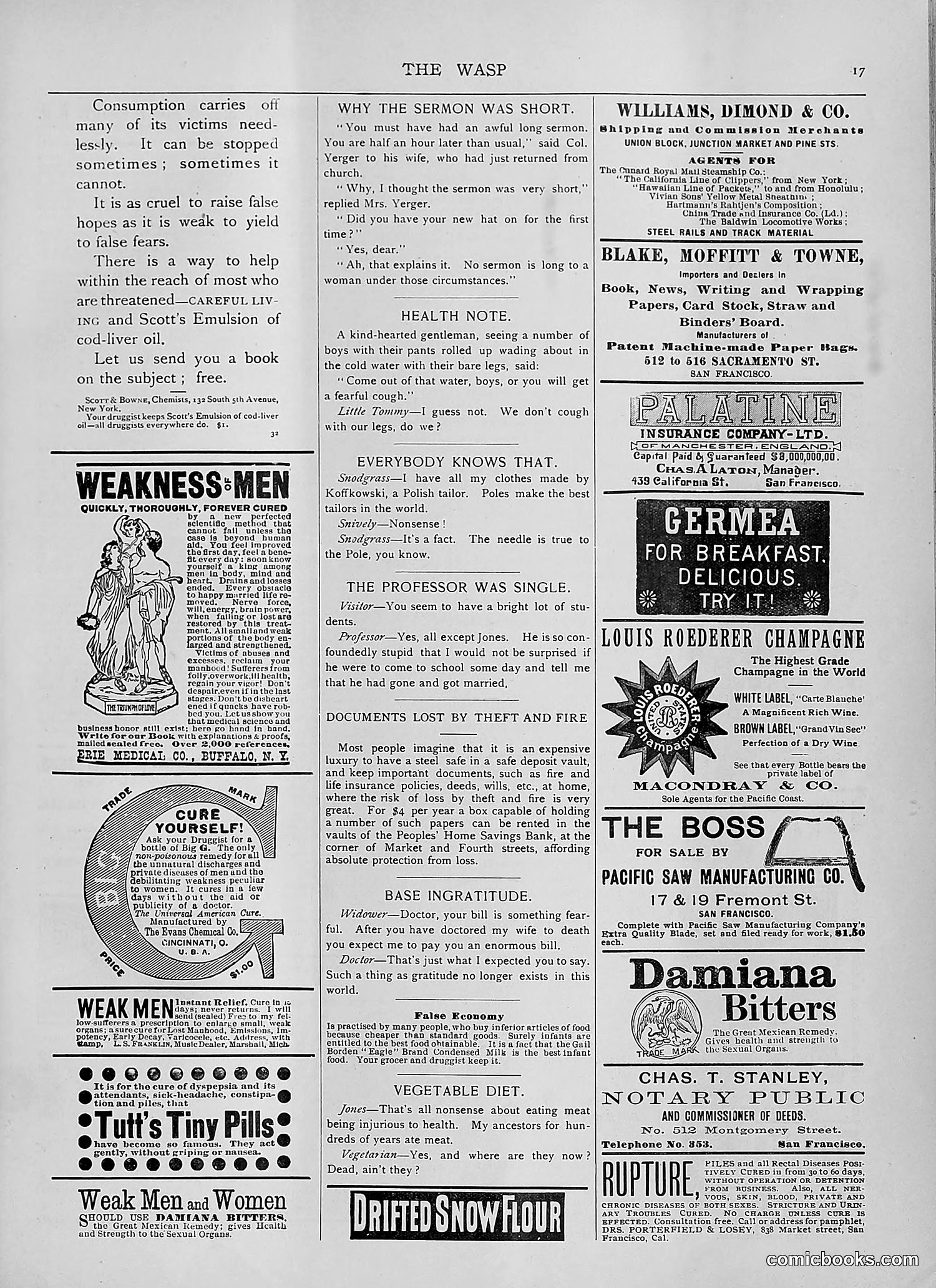 The Wasp — 1892 — page 372 of 542