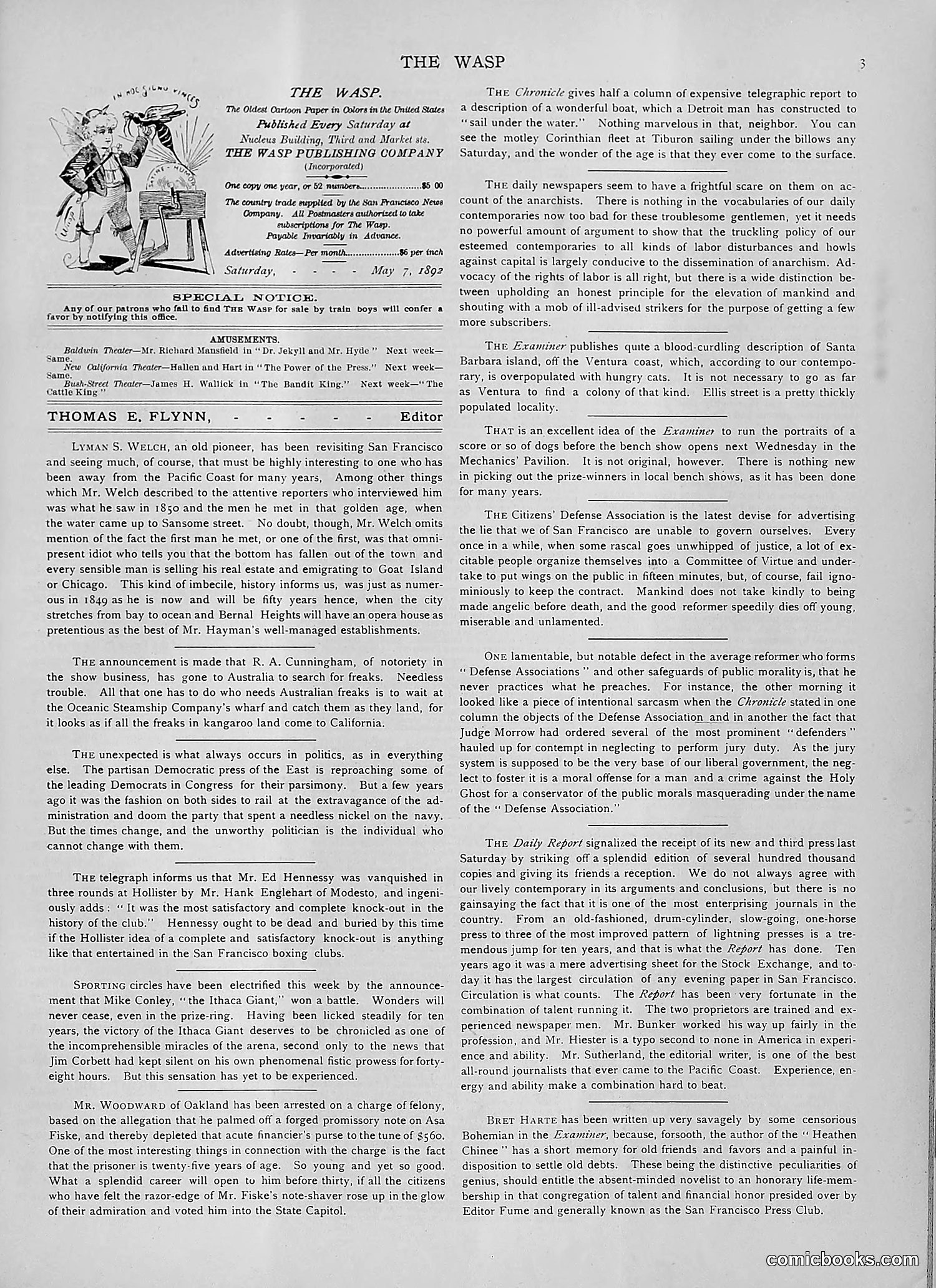 The Wasp — 1892 — page 378 of 542