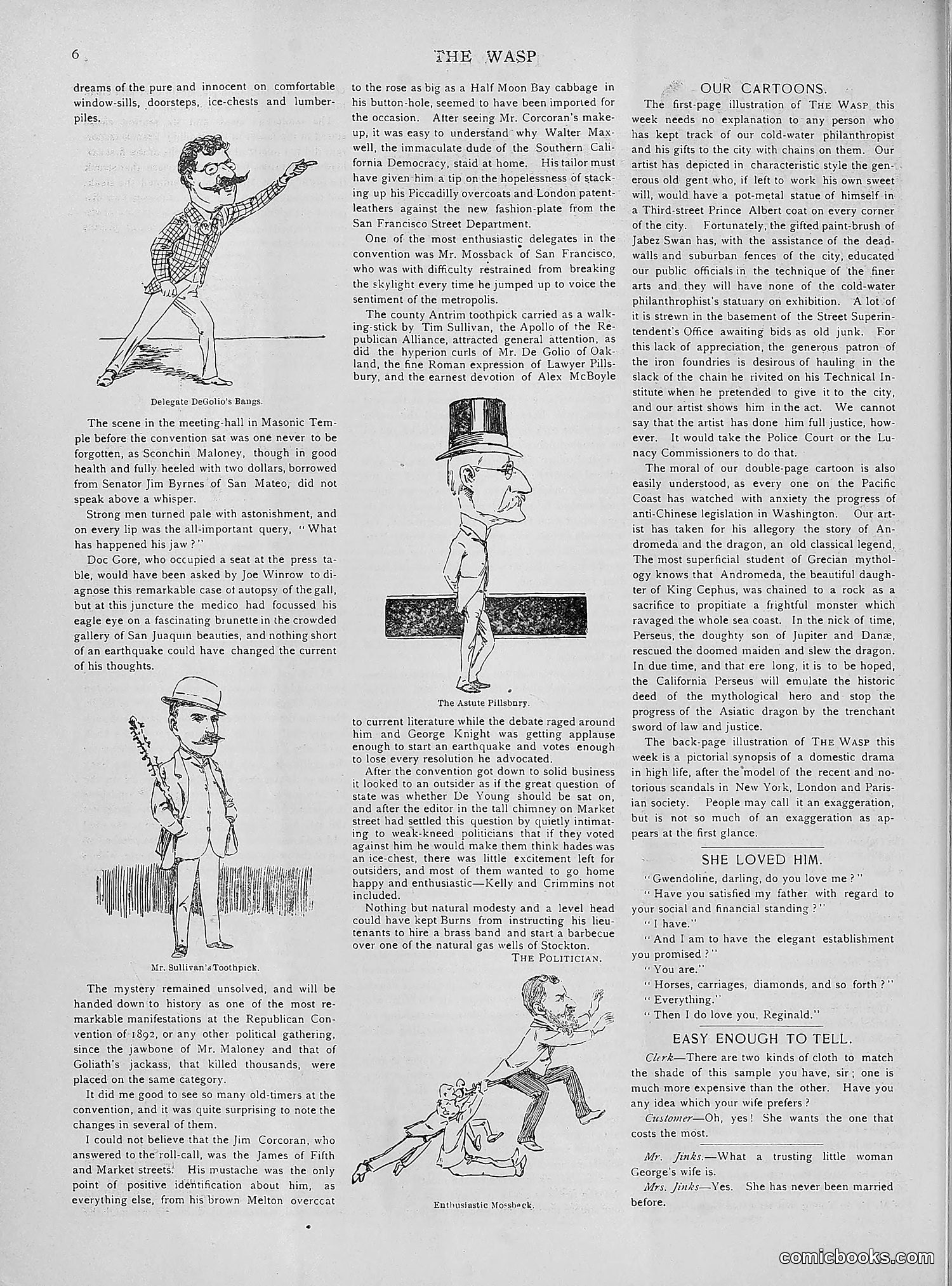 The Wasp — 1892 — page 381 of 542