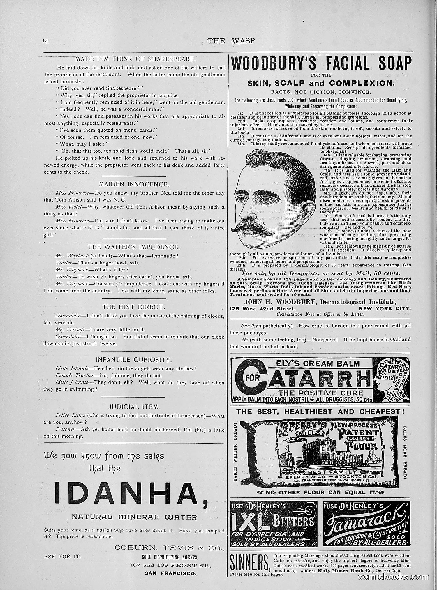 The Wasp — 1892 — page 389 of 542