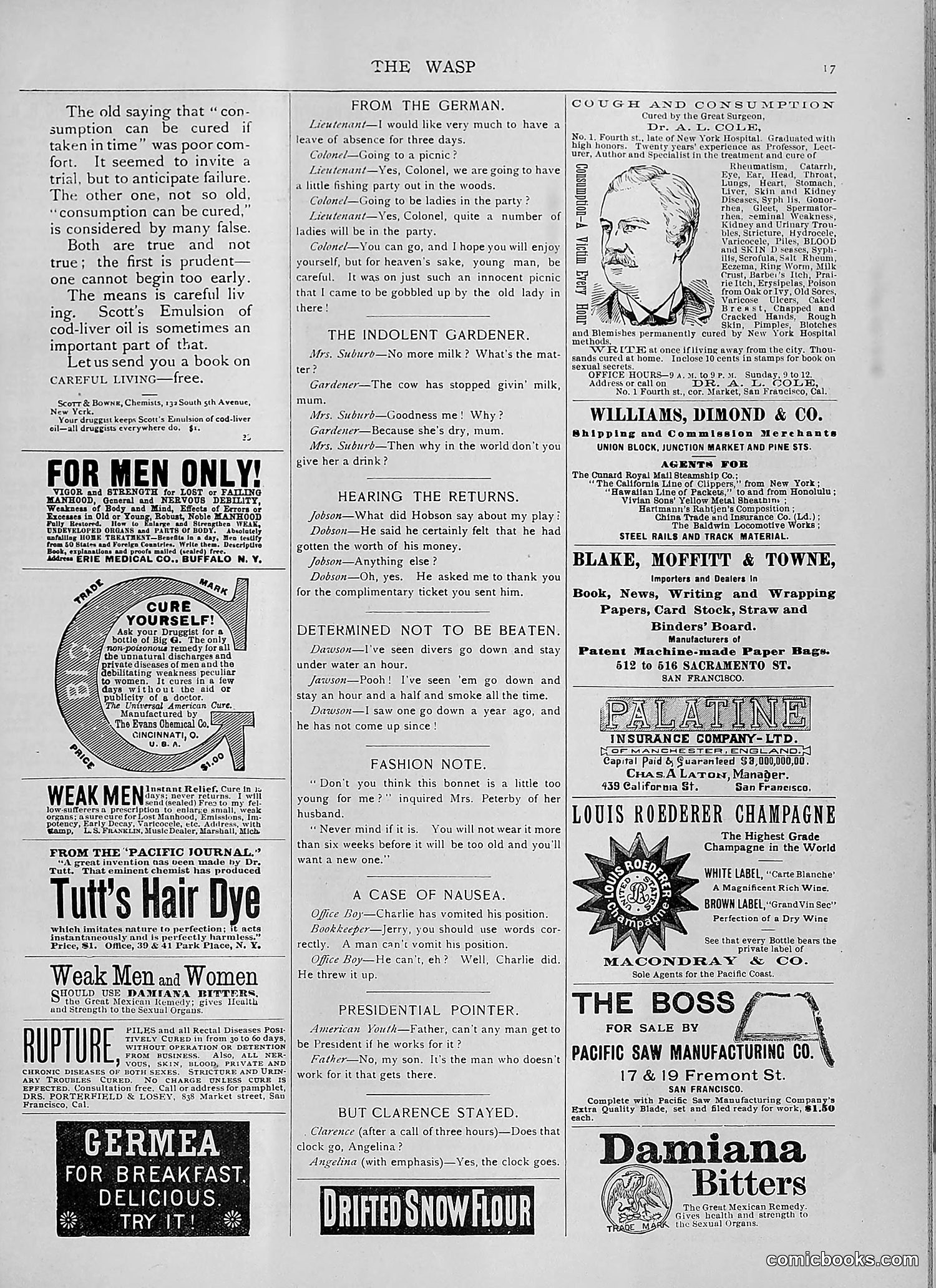 The Wasp — 1892 — page 392 of 542
