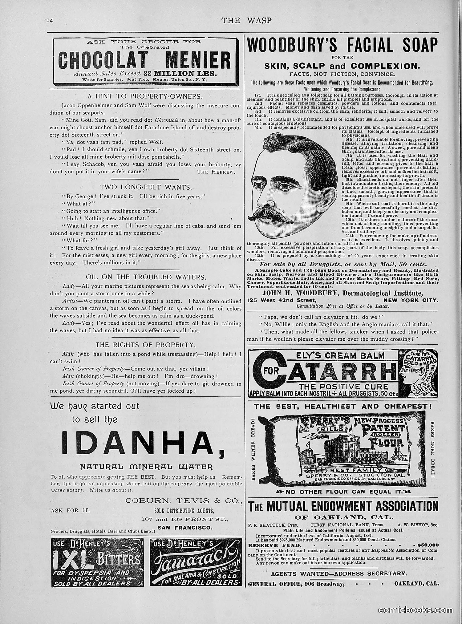 The Wasp — 1892 — page 409 of 542