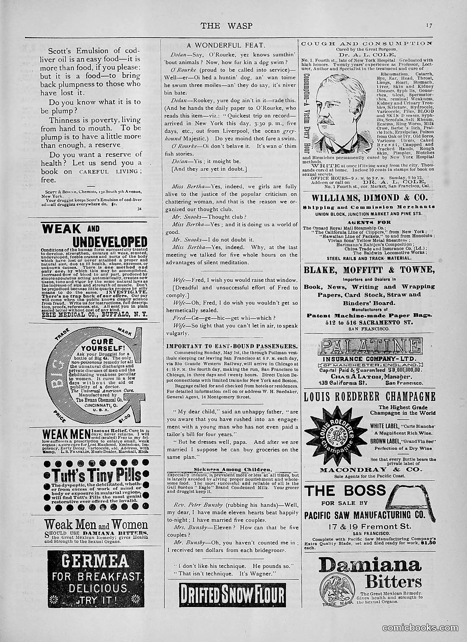The Wasp — 1892 — page 412 of 542